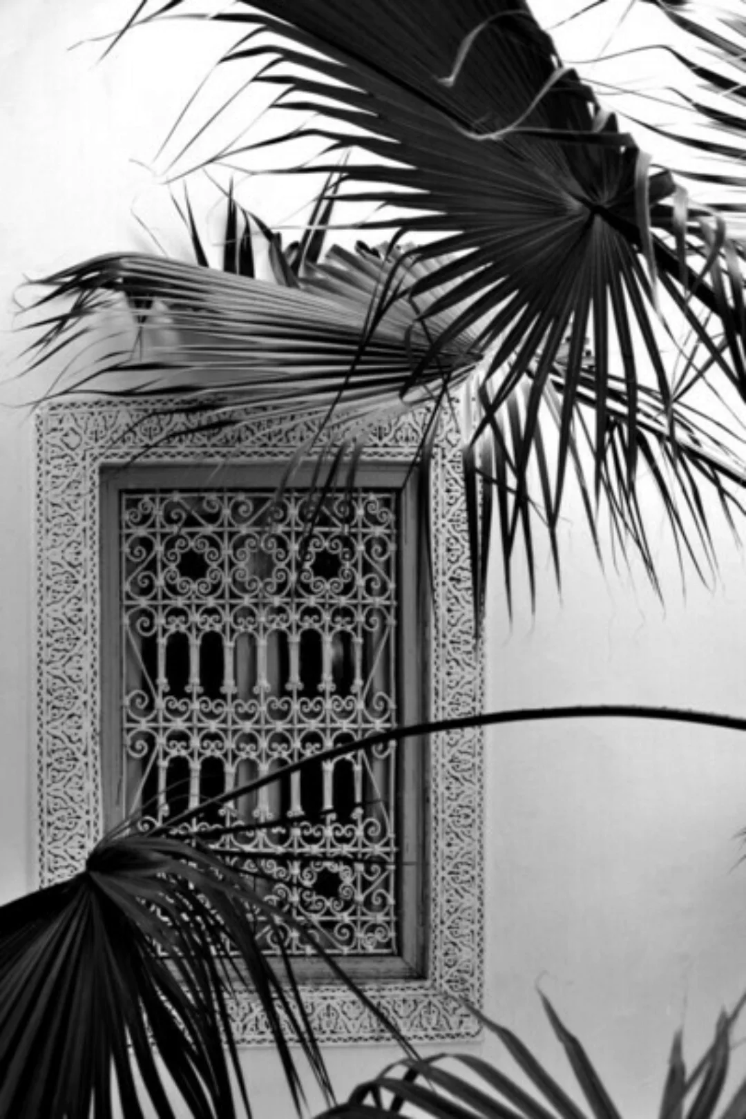 Poster / Leinwandbild - Orient Palms & Garden Dreams - Black & White Editio günstig online kaufen