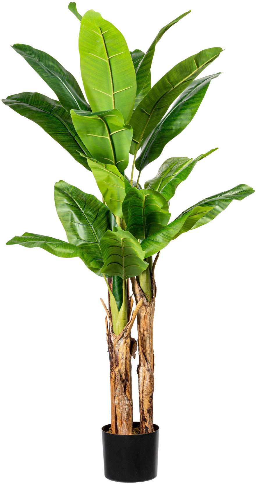 Creativ green Kunstpalme "Bananenpflanze" günstig online kaufen