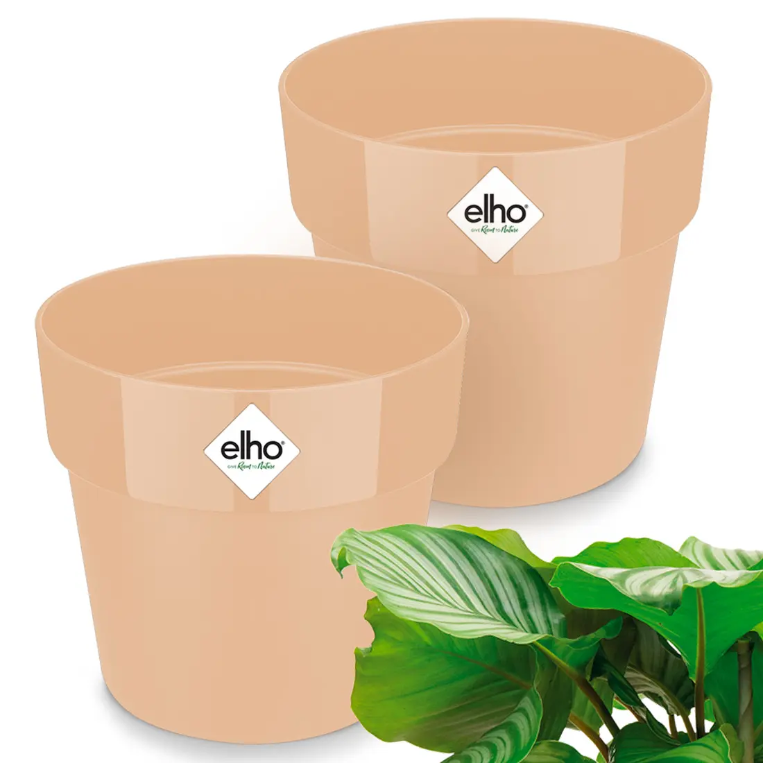 Blumentopf Pfirsich 2er-Set 14x13cm 1,3L günstig online kaufen