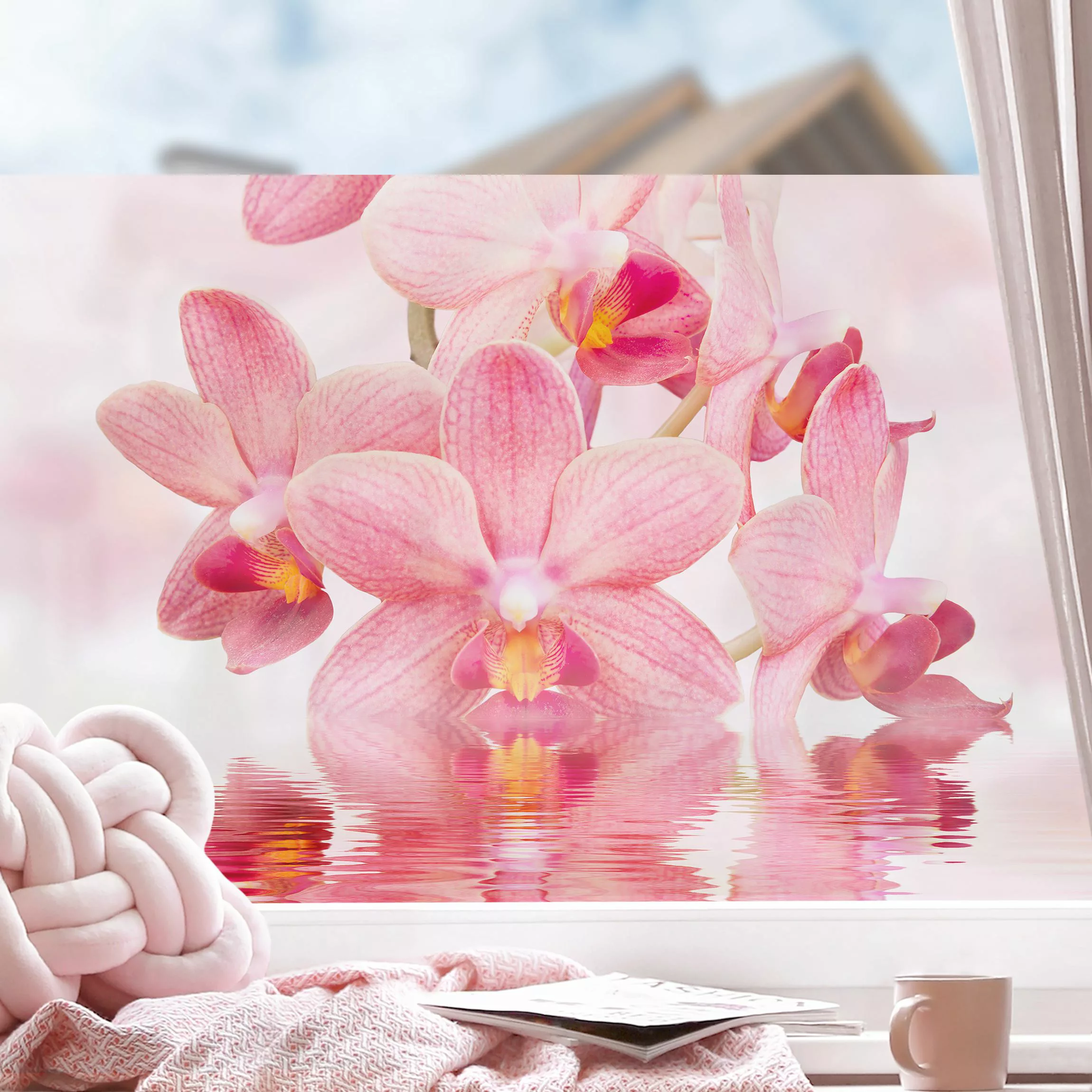 Fensterfolie Rosa Orchideen auf Wasser günstig online kaufen