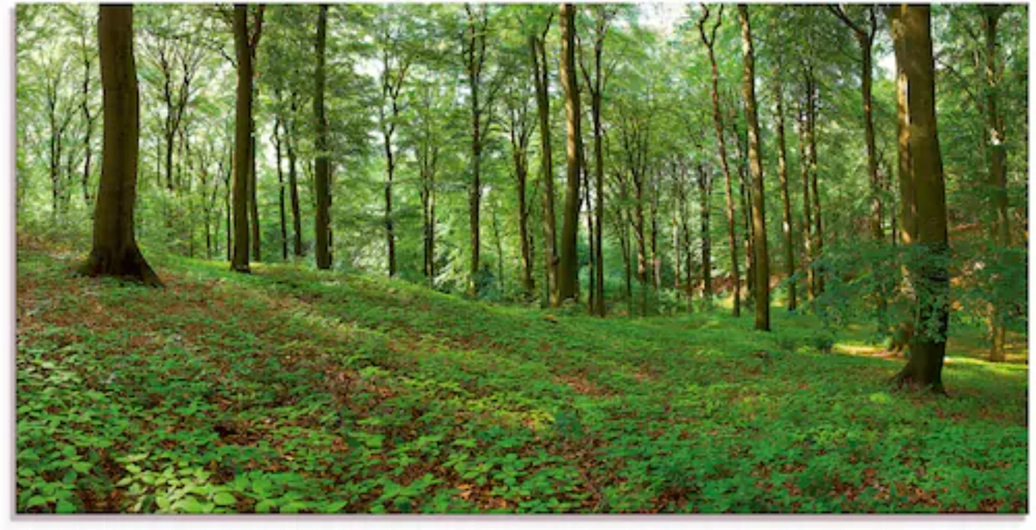 Artland Glasbild "Panorama von einem grünen Sommerwald", Wald, (1 St.), in günstig online kaufen