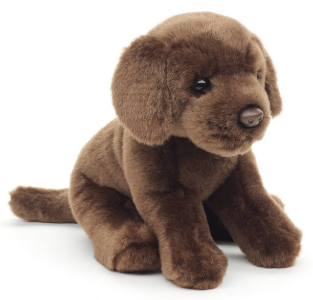 Uni-Toys Kuscheltier Labrador Welpe braun, m/o Leine - Höhe 23 cm - Plüsch- günstig online kaufen