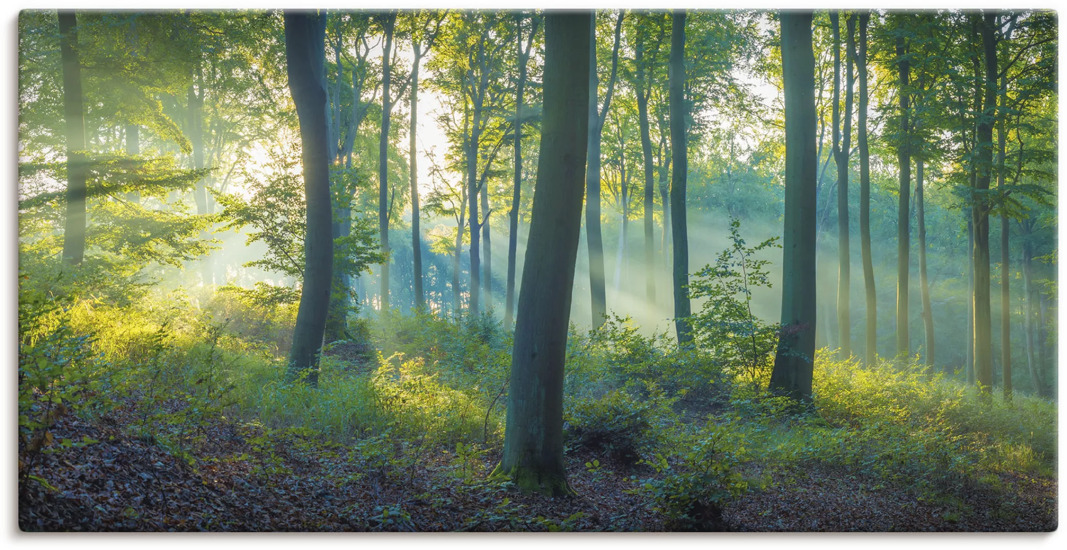 Artland Wandbild »Wald Panorama«, Waldbilder, (1 St.), als Alubild, Outdoor günstig online kaufen