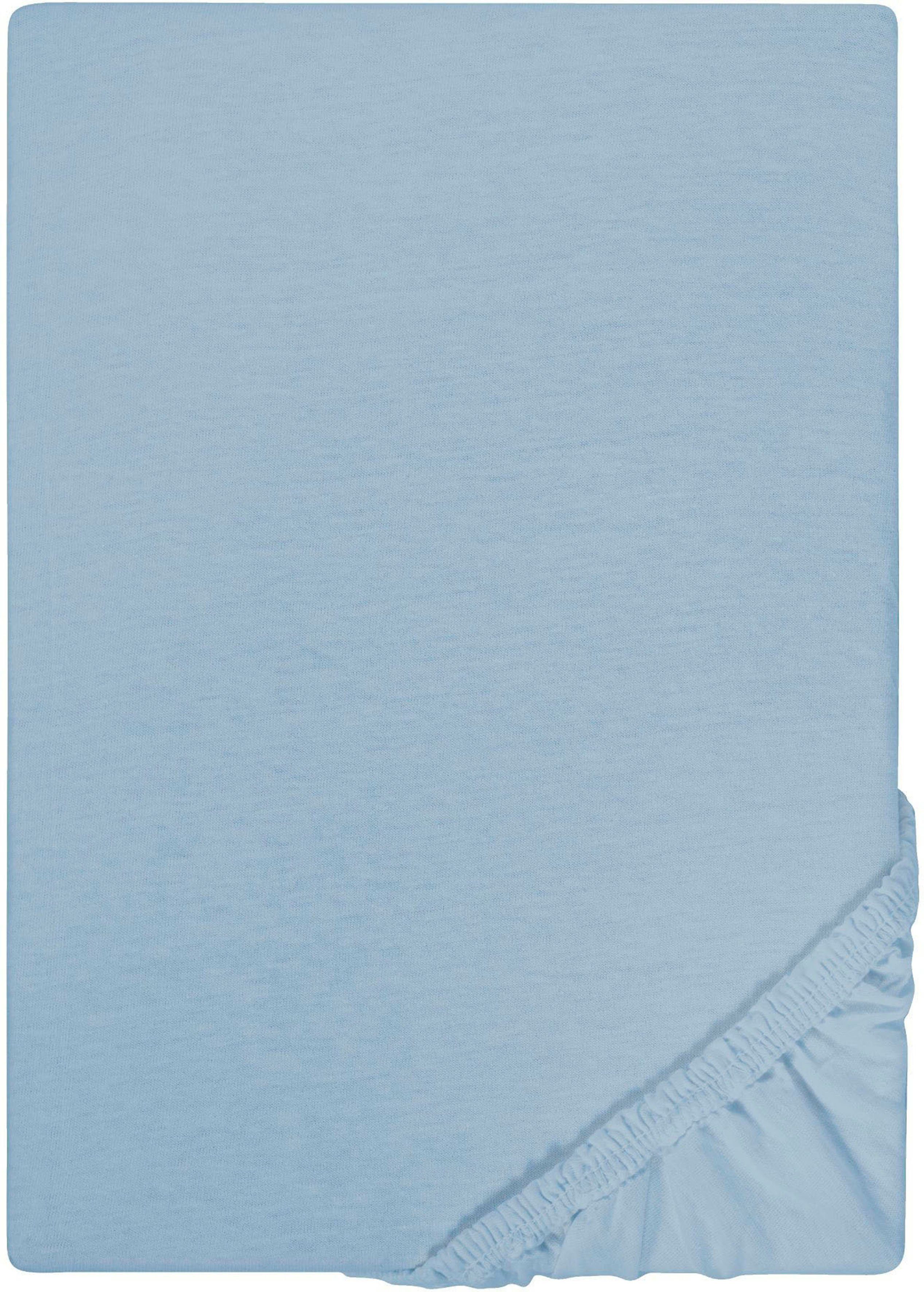 Castell - Markenbettwäsche Spannbettlaken Spannbetttuch Jersey-Stretch, günstig online kaufen