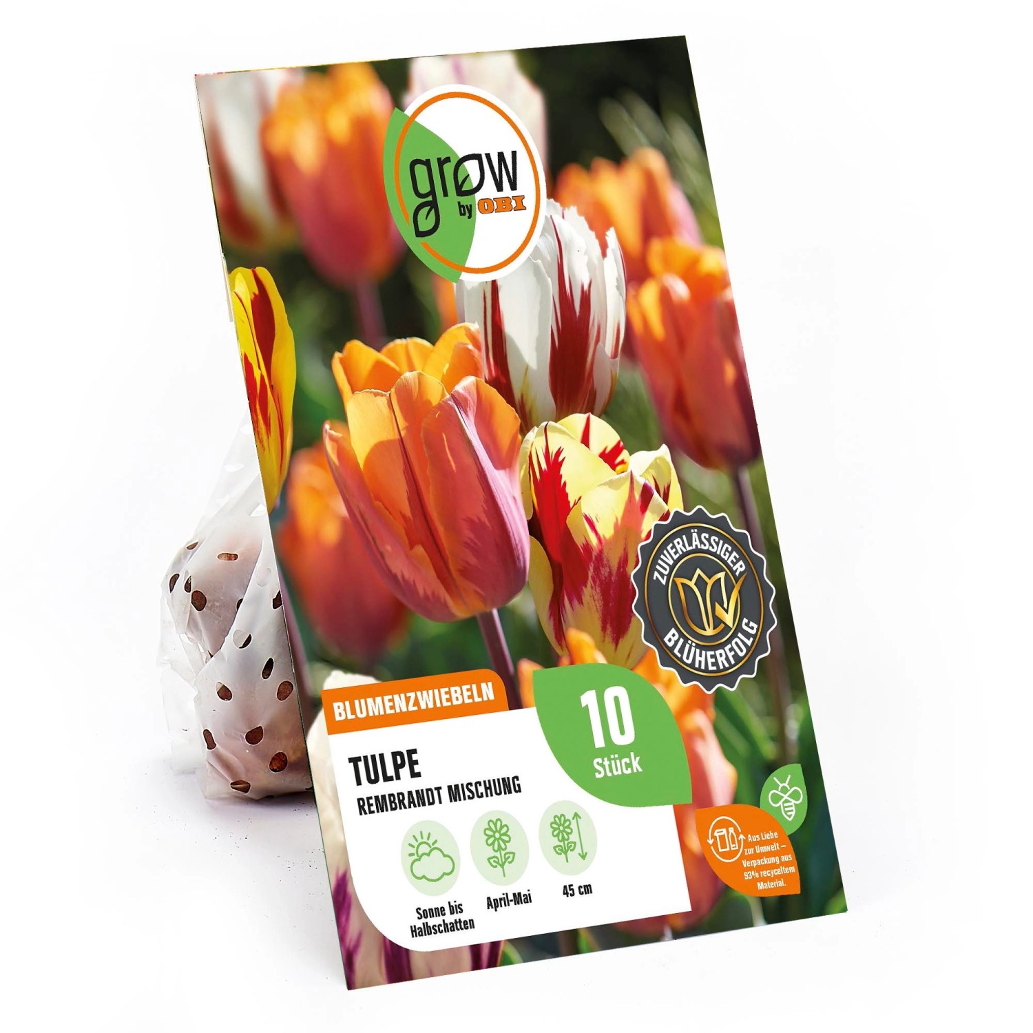 GROW by OBI Triumph-Tulpe Rembrandt Mischung 45 cm Tulipa günstig online kaufen