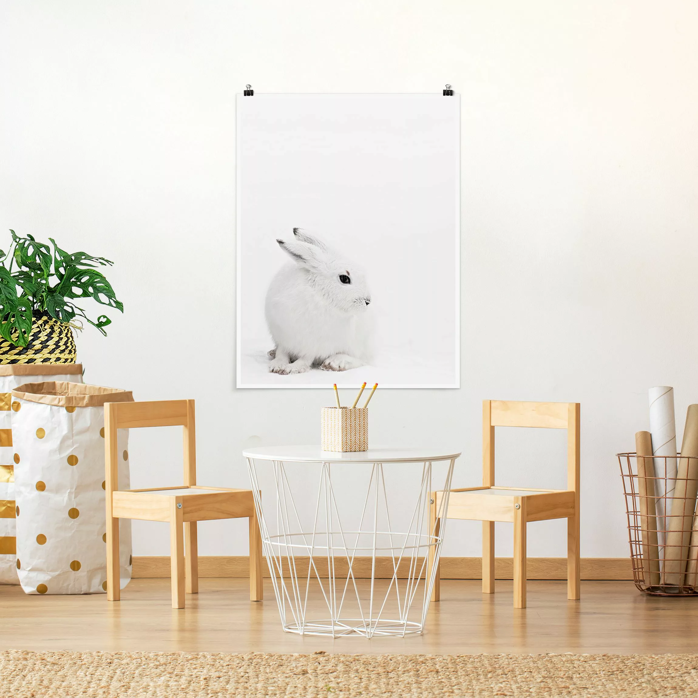 Poster Arktischer Hase günstig online kaufen