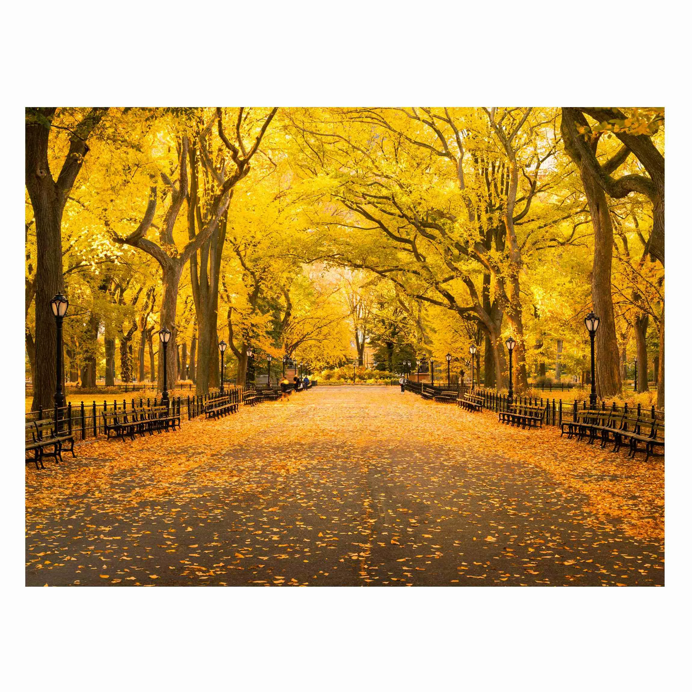 Magnettafel Herbst im Central Park günstig online kaufen