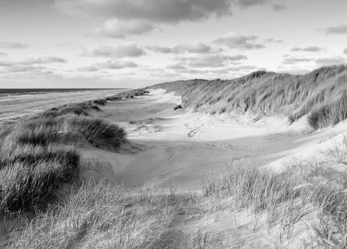 Papermoon Fototapete »Strand Schwarz & Weiß« günstig online kaufen