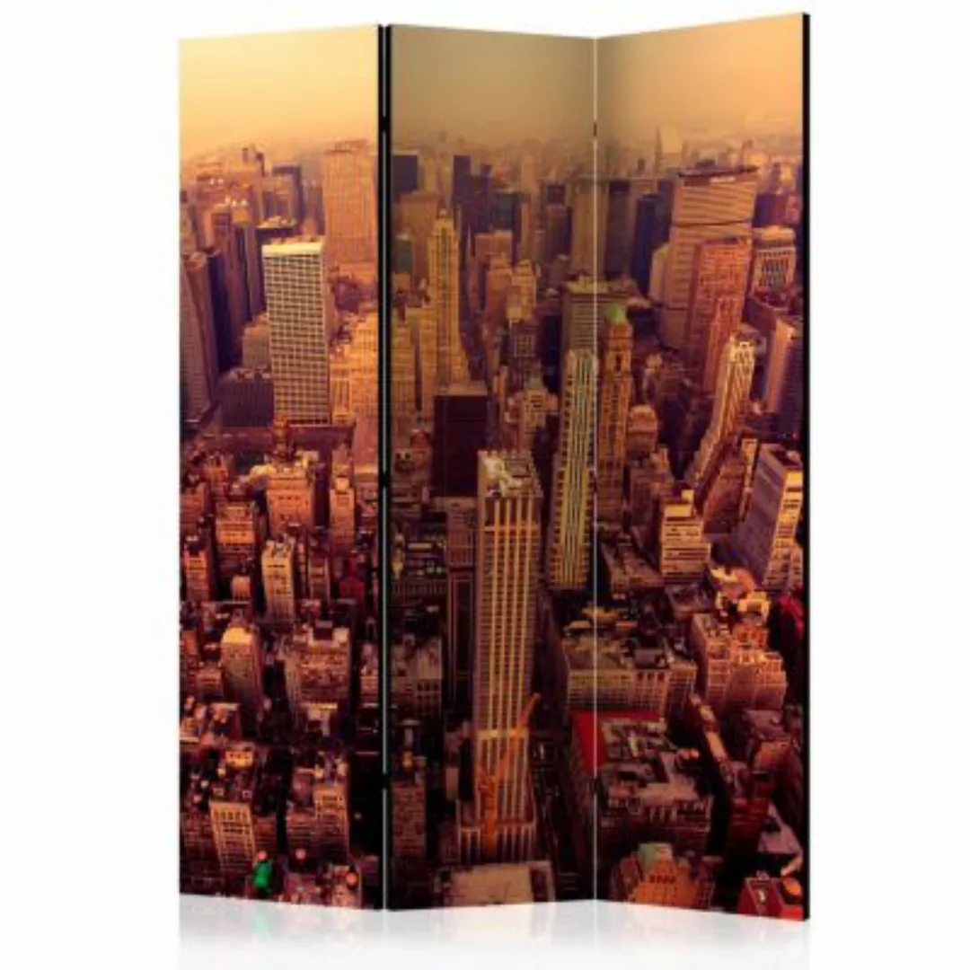 artgeist Paravent Bird Eye View Of Manhattan, New York [Room Dividers] brau günstig online kaufen