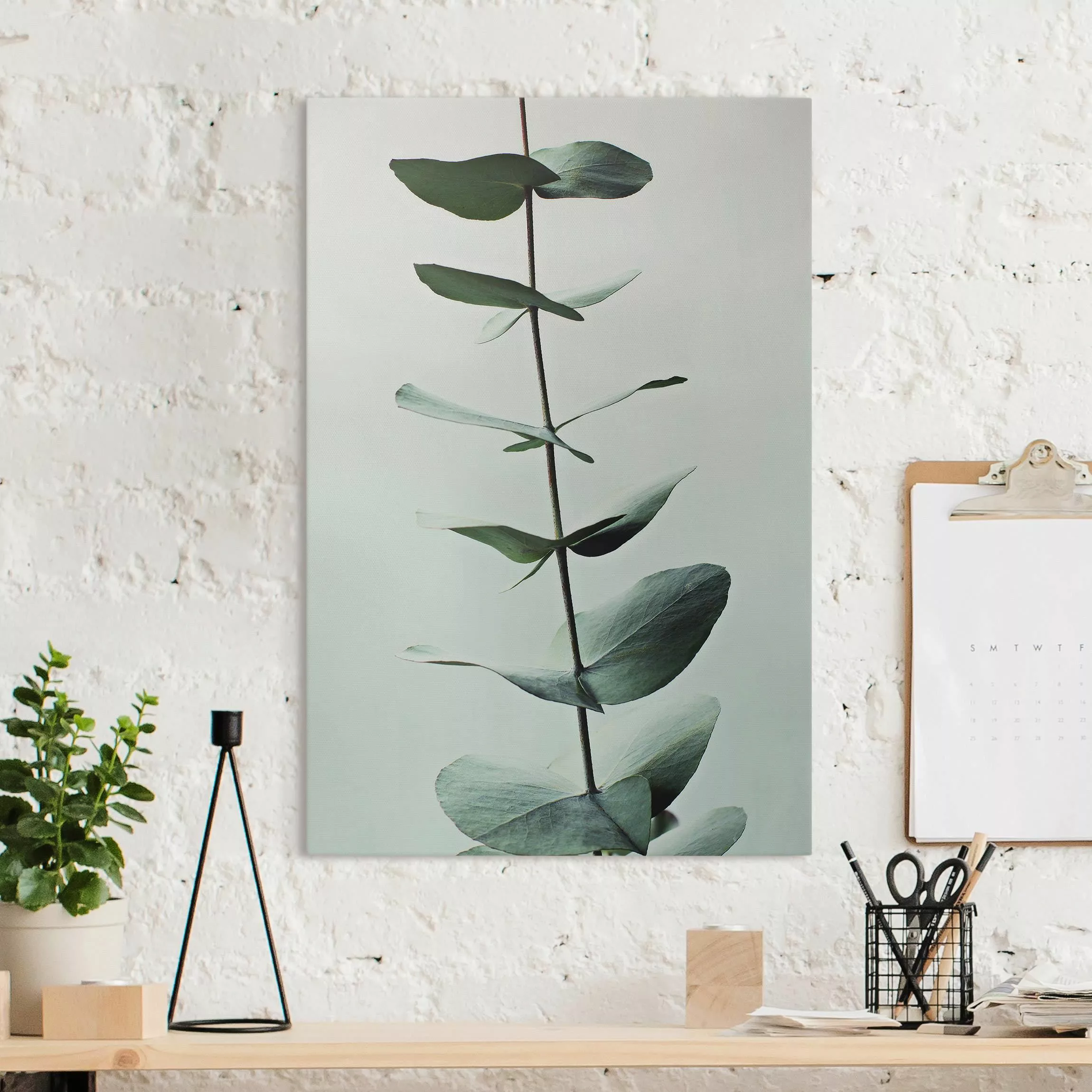Leinwandbild Symmetrischer Eukalyptuszweig günstig online kaufen