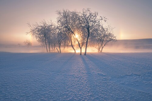 Papermoon Fototapete »Photo-Art BINGO Z, SCHNEELANDSCHAFT IM WINTER« günstig online kaufen