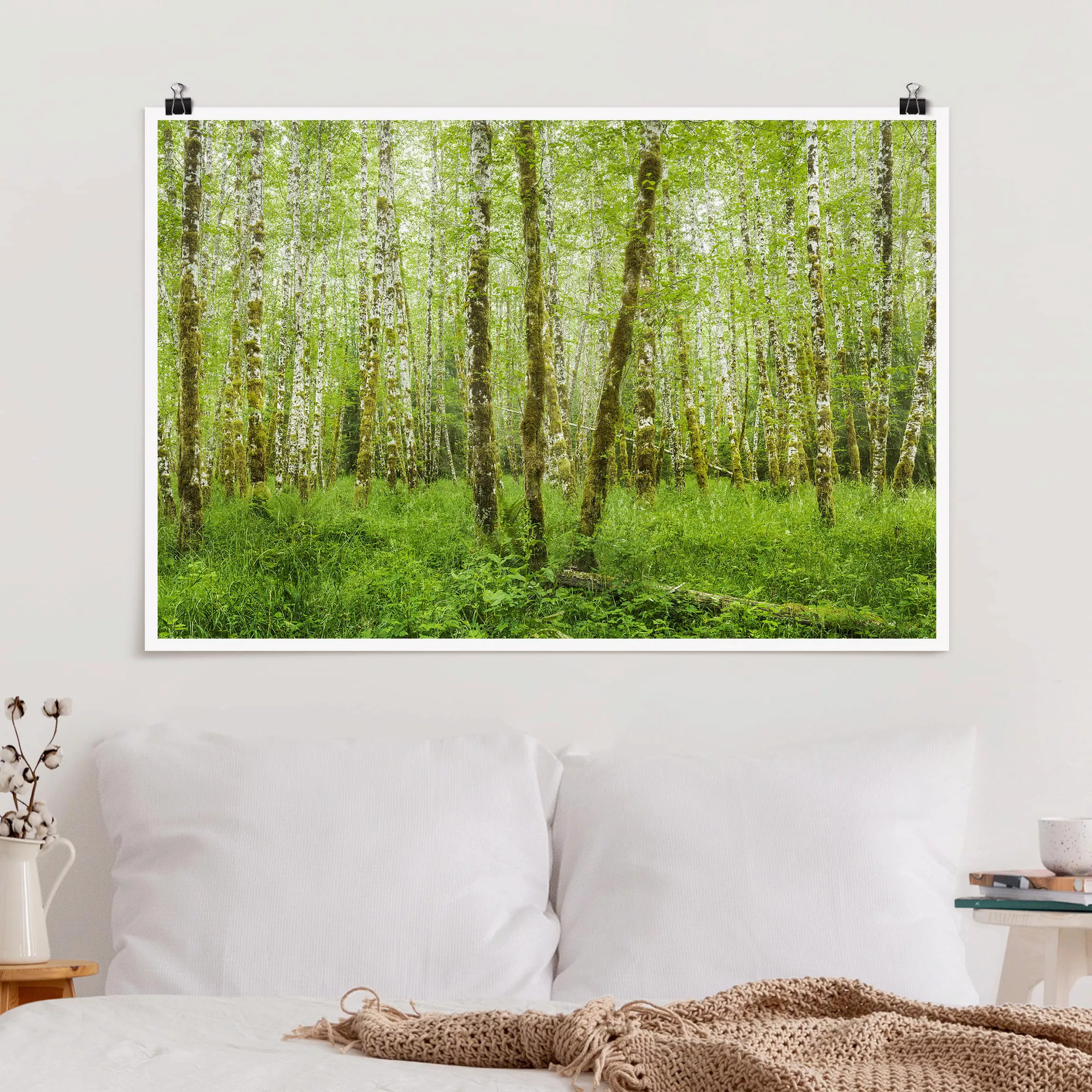 Poster Natur & Landschaft - Querformat Hoh Rainforest Olympic National Park günstig online kaufen
