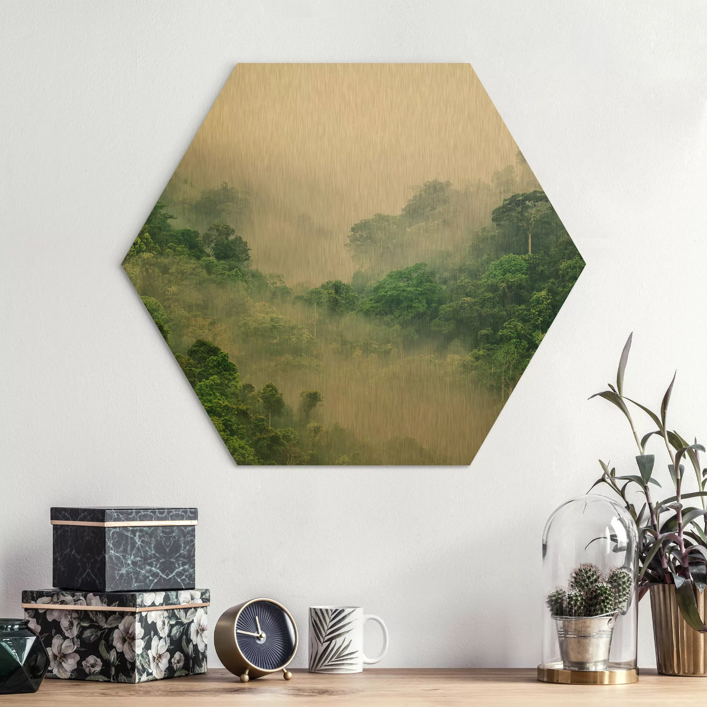 Hexagon-Alu-Dibond Bild Natur & Landschaft Dschungel im Nebel günstig online kaufen