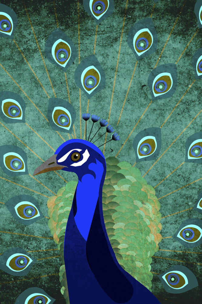 A.S. Création Leinwandbild "Peacock - Wandbild Grün Blau Keilrahmen Wandkun günstig online kaufen