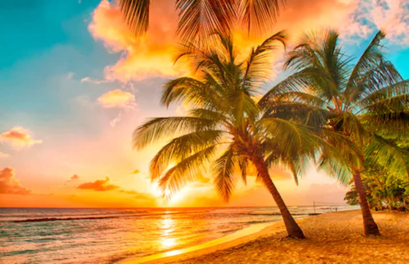 Papermoon Fototapete »Barbados Palm Beach«, matt günstig online kaufen
