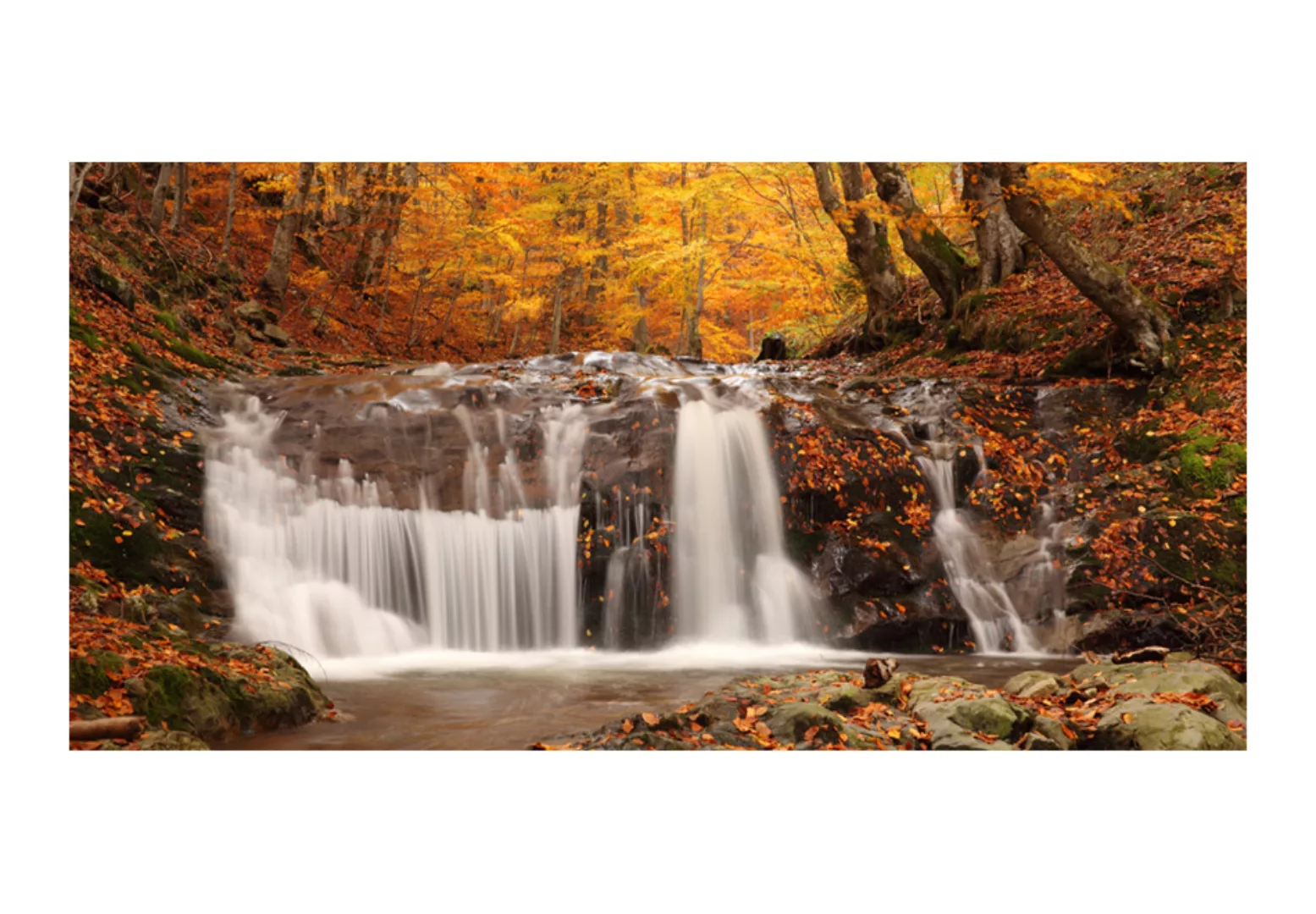 Xxl Tapete - Autumn Landscape: Waterfall In Forest günstig online kaufen