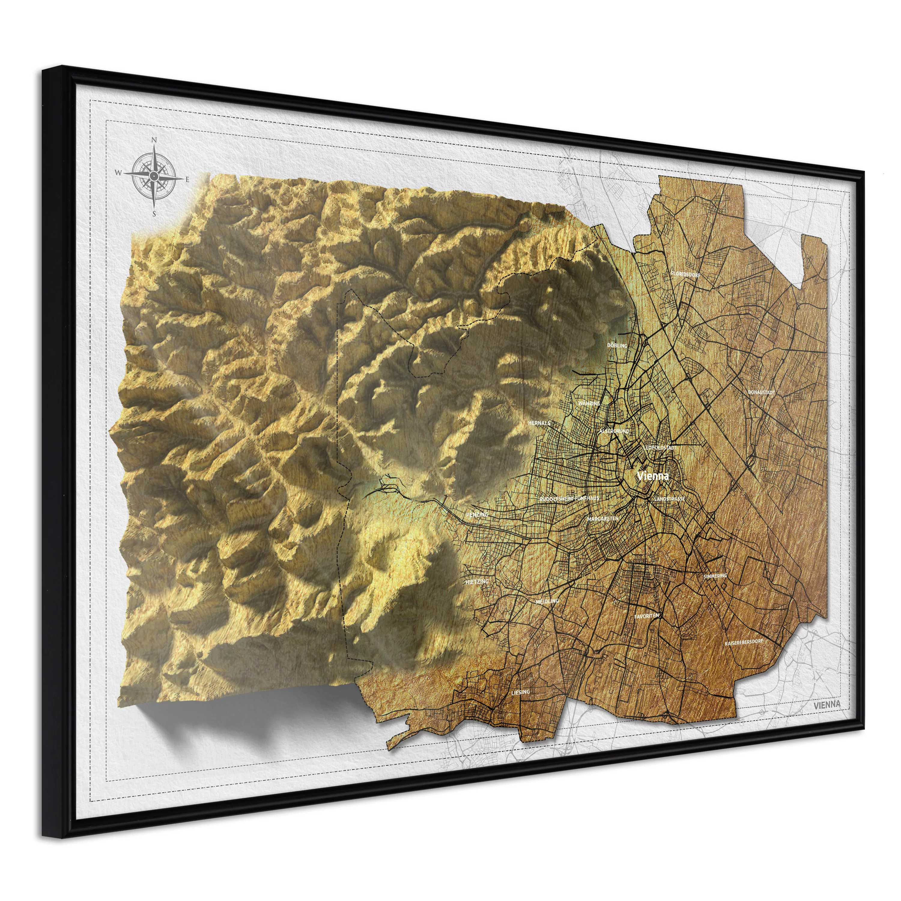 Poster - Raised Relief Map: Vienna günstig online kaufen