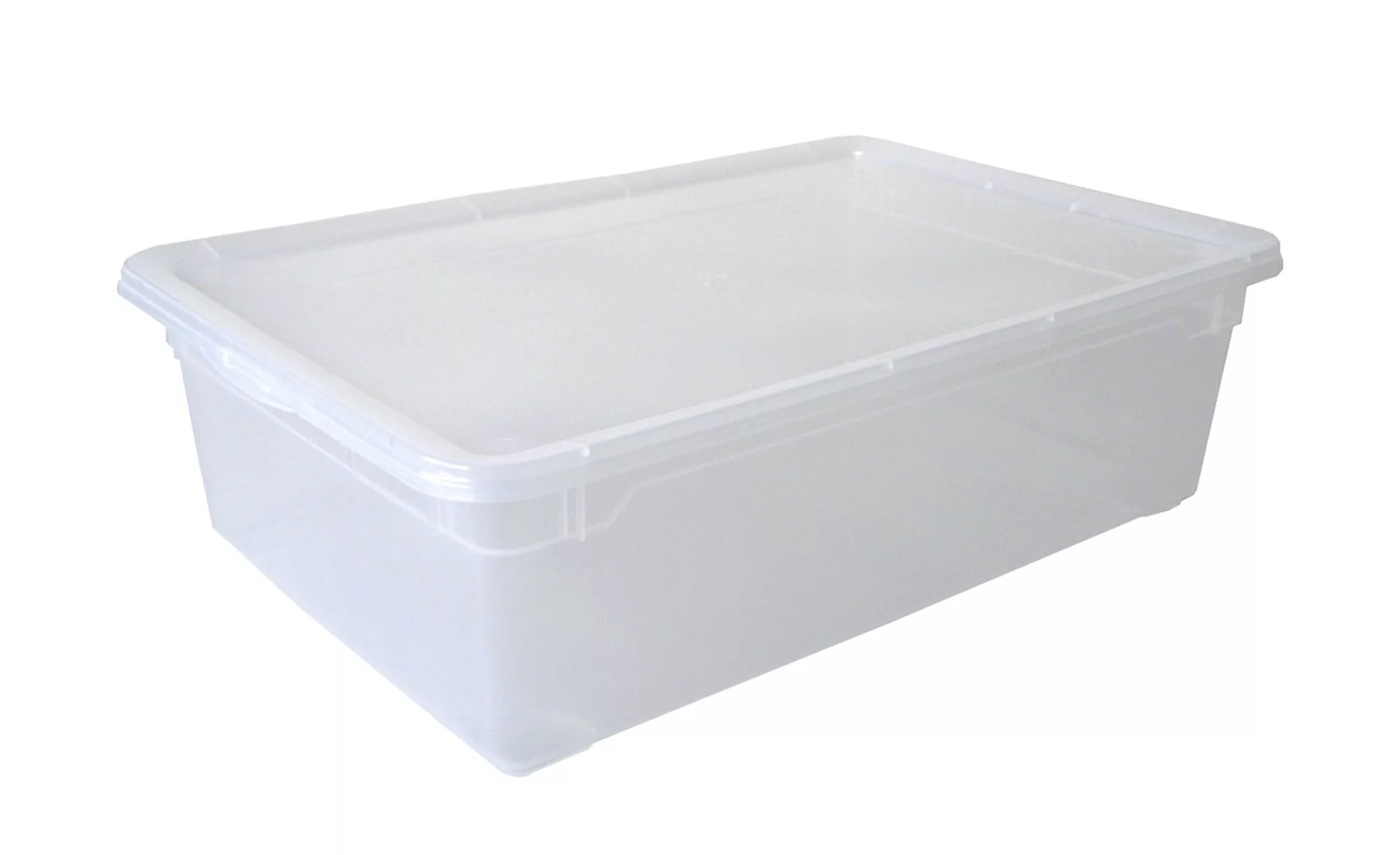 Rotho Aufbewahrungsbox mit Deckel - weiß - Kunststoff - 37,5 cm - 16 cm - S günstig online kaufen