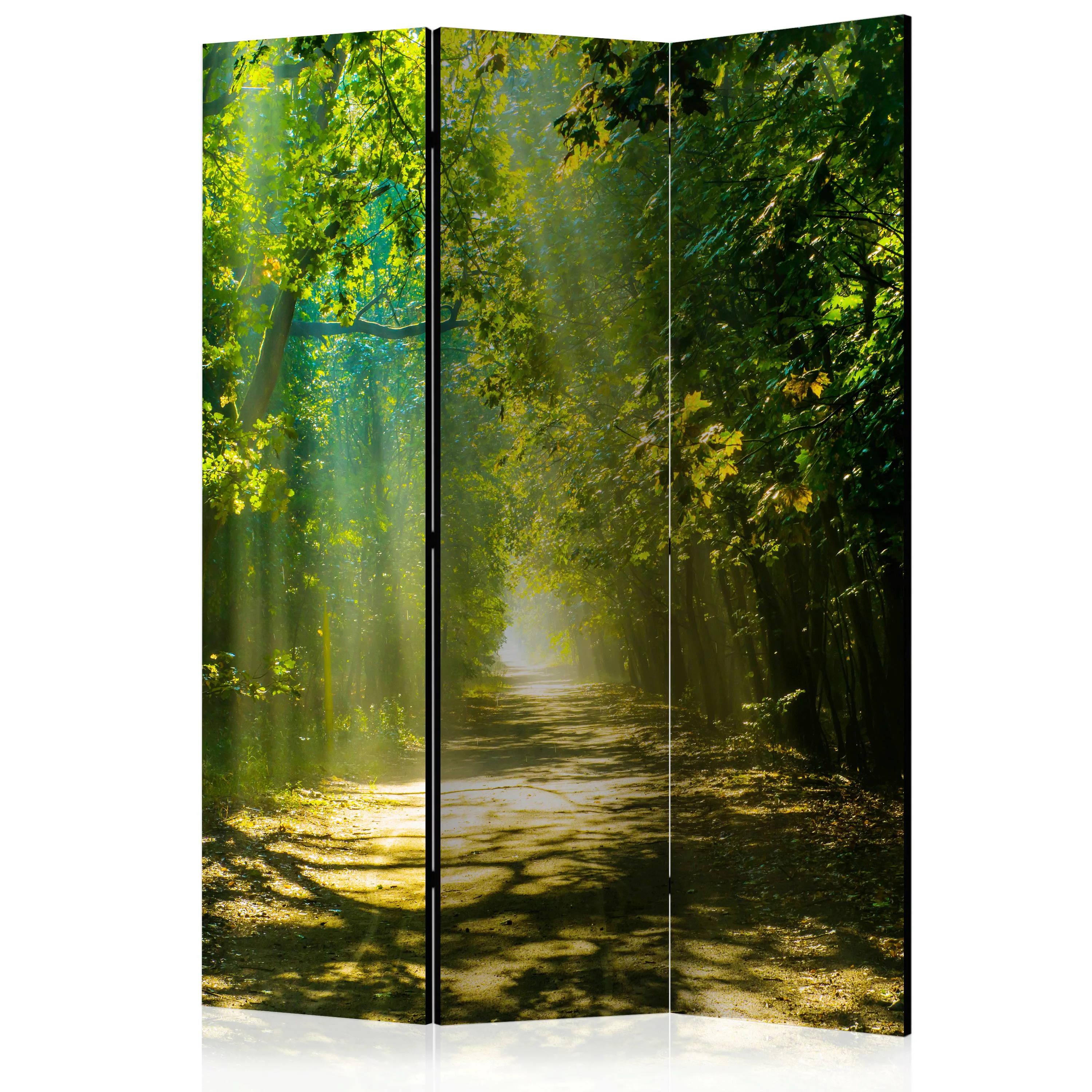 3-teiliges Paravent - Road In Sunlight [room Dividers] günstig online kaufen