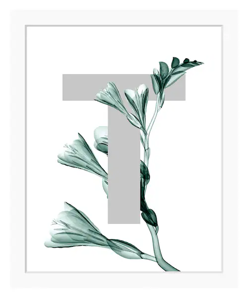 queence Bild "T-Flower", Buchstaben, gerahmt, Blume, Blätter günstig online kaufen