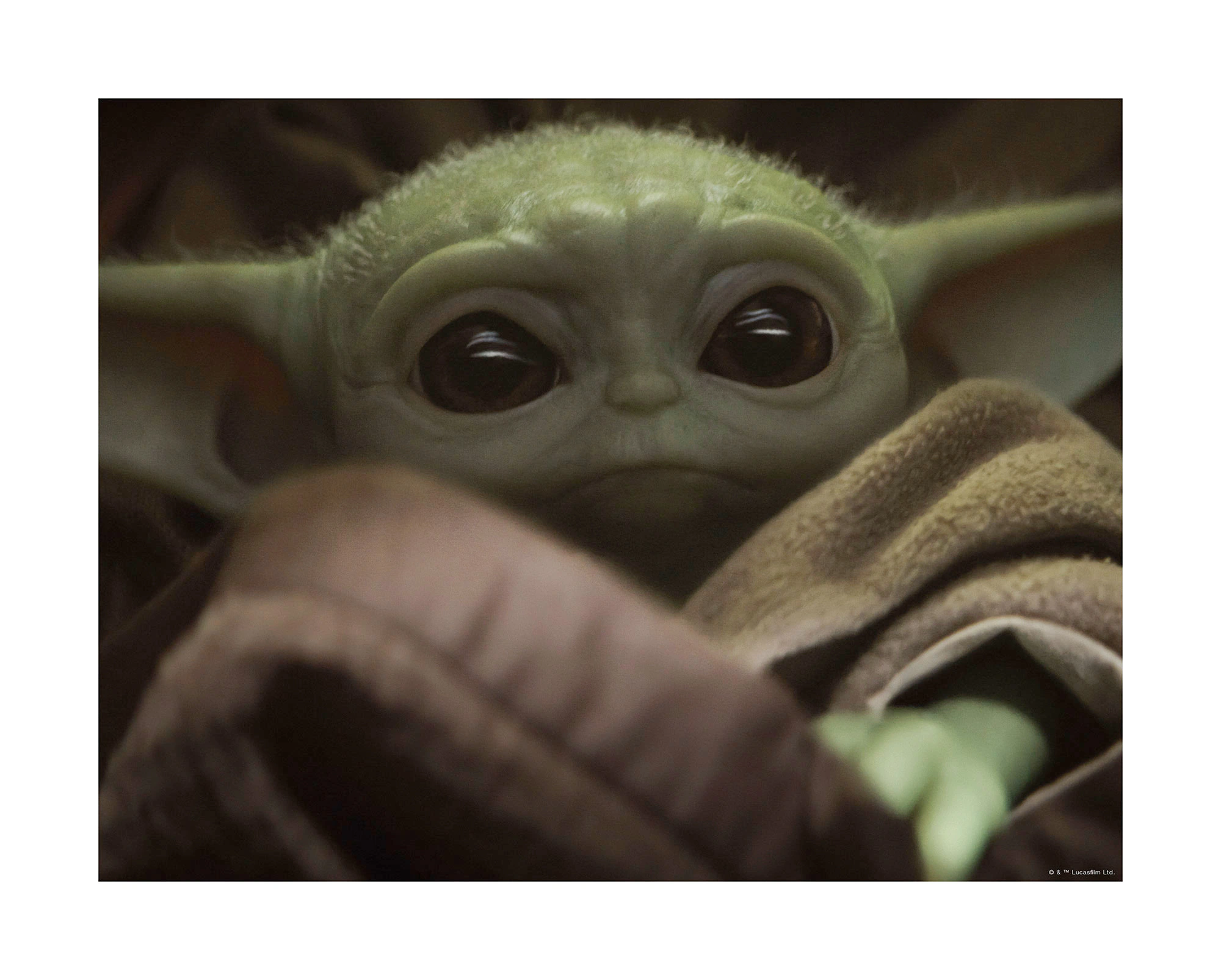 Komar Bild "Mandalorian The Child Cute Face", Disney-Star Wars, (1 St.), Wa günstig online kaufen