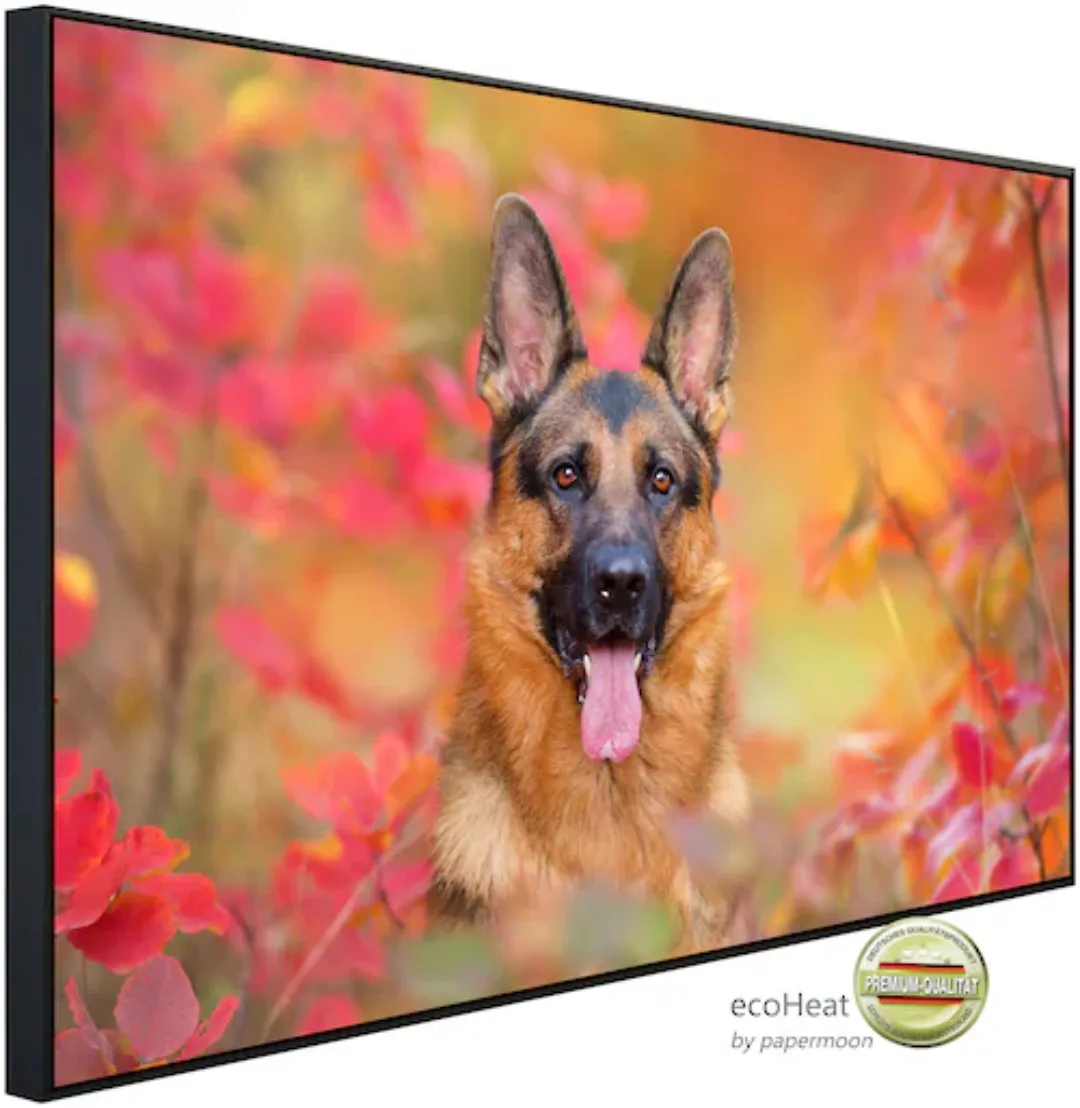 Papermoon Infrarotheizung »Hund in Natur«, sehr angenehme Strahlungswärme günstig online kaufen