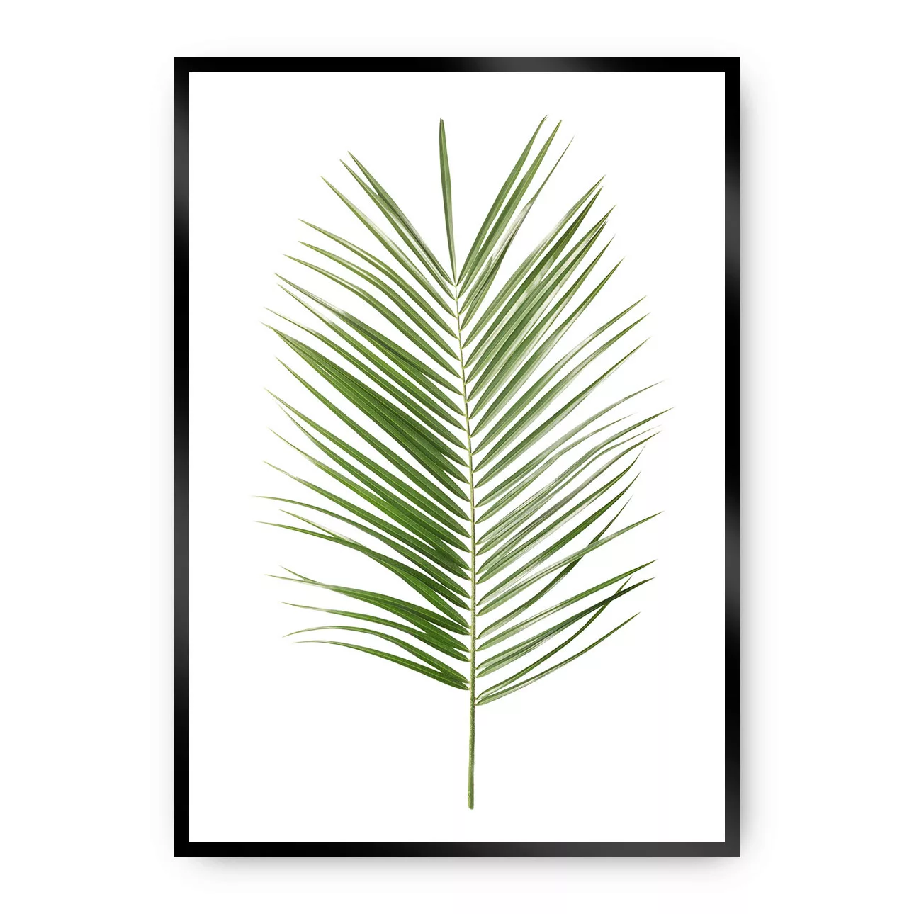Poster Palm Leaf Green, 70 x 100 cm, Rahmen wählen: schwarz günstig online kaufen