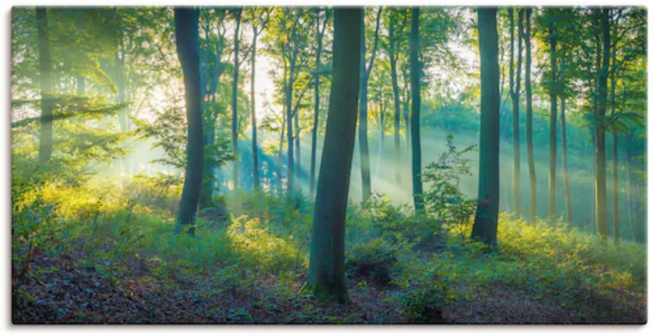 Artland Wandbild "Wald Panorama", Waldbilder, (1 St.) günstig online kaufen
