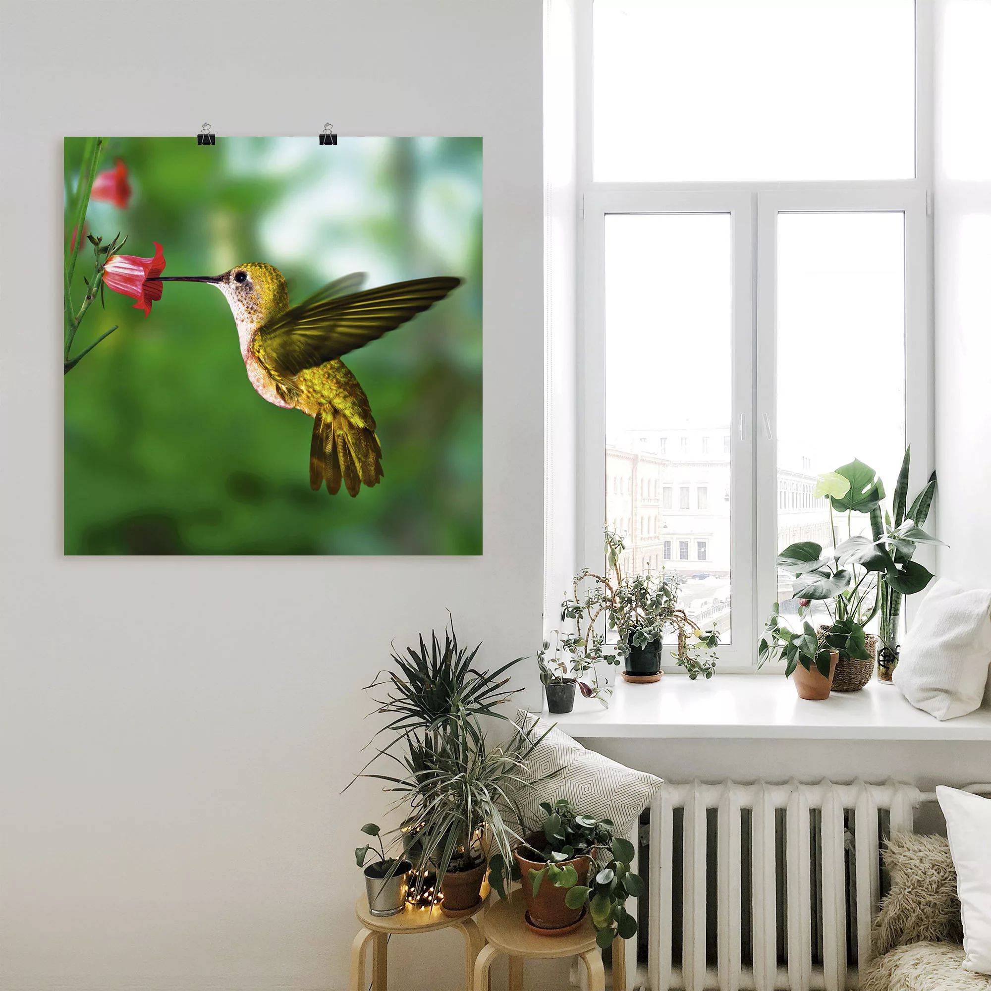 Artland Wandbild "Kolibri", Vögel, (1 St.) günstig online kaufen