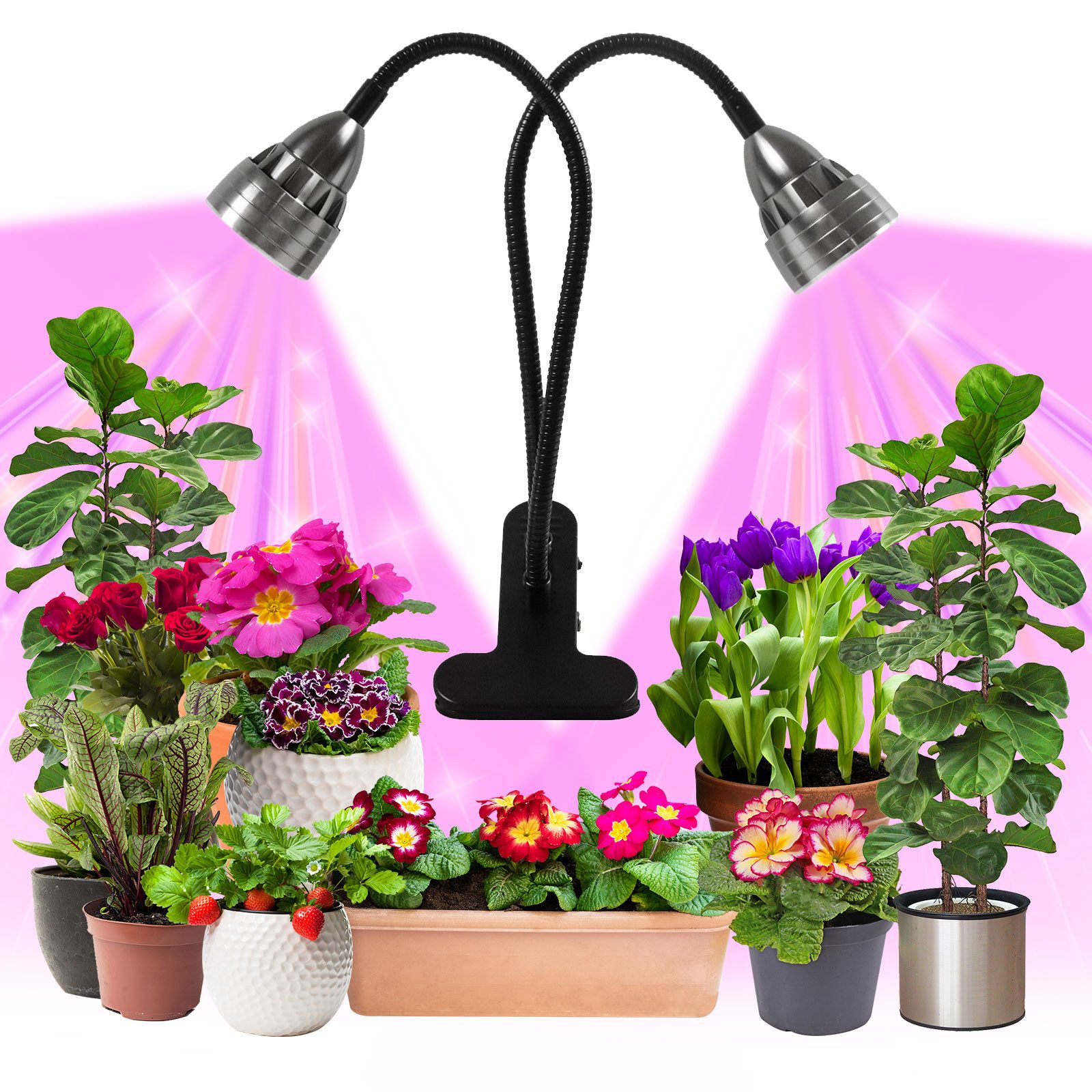 MUPOO Pflanzenlampe Vollspektrum Wachstumslampen Auto Timer,USB günstig online kaufen