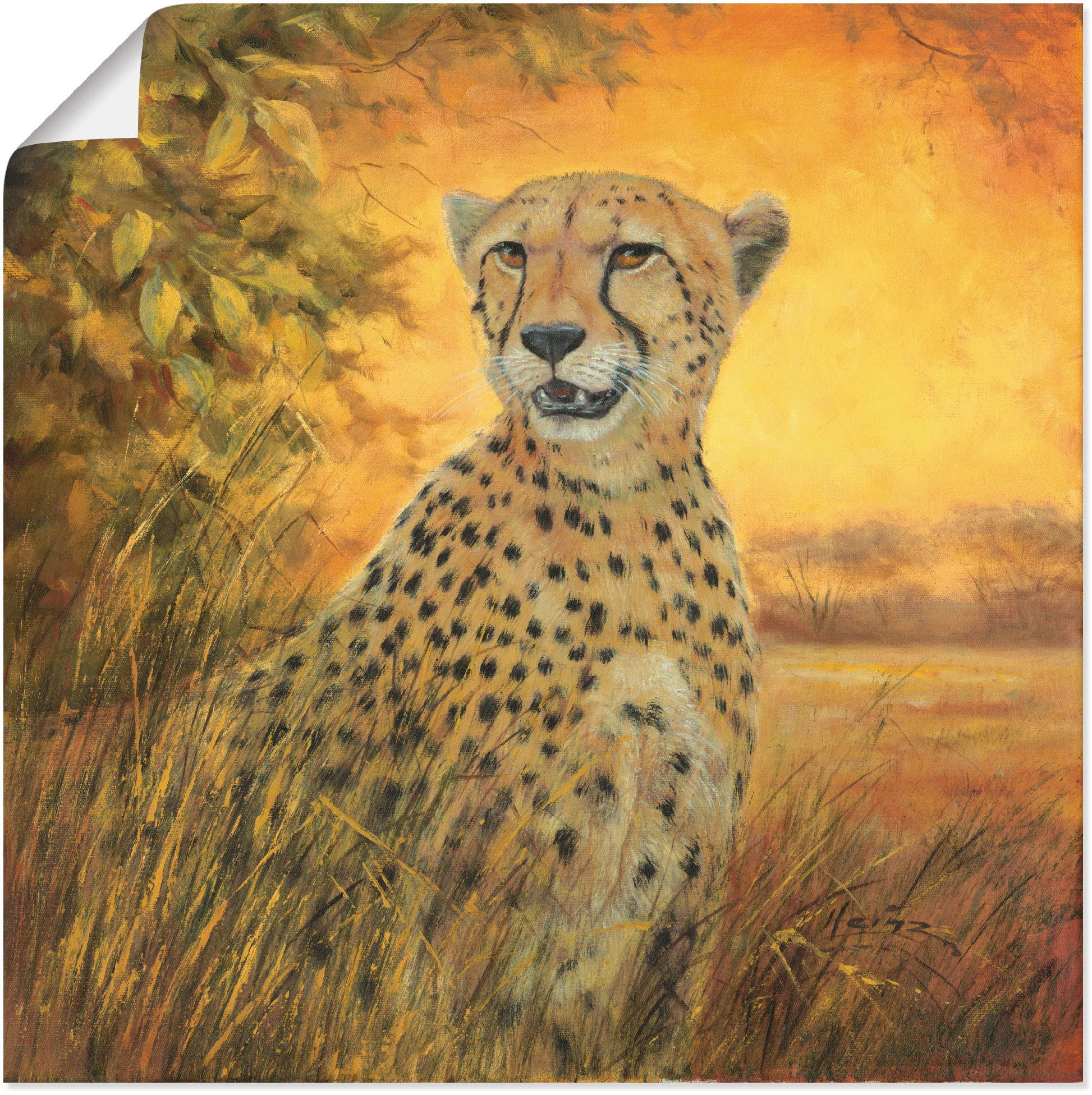 Artland Wandbild "Porträt Gepard", Geparden Bilder, (1 St.), als Alubild, O günstig online kaufen