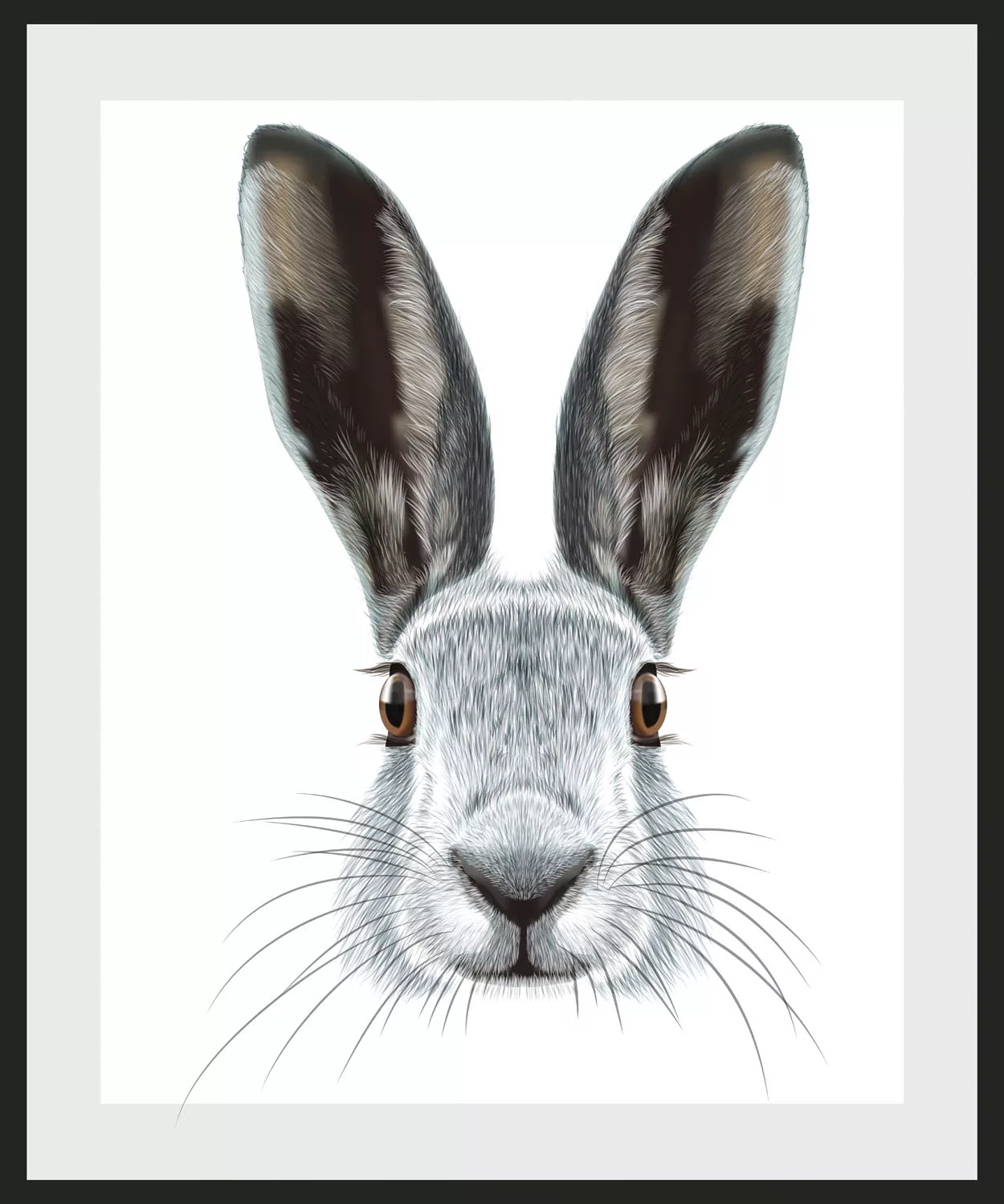 queence Bild »Selma«, Hase-Hasen-Schwarz-Weiß-Kunst-Haustiere, (1 St.), HD günstig online kaufen