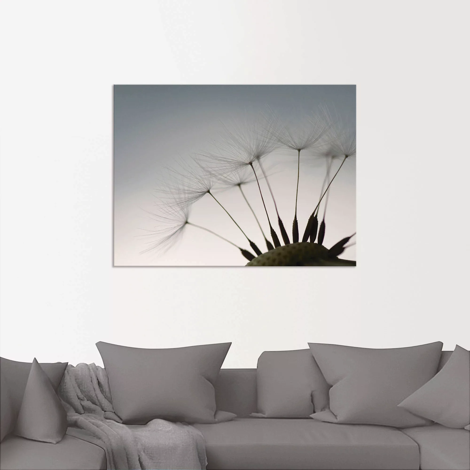Artland Wandbild "Pusteblumen-Samen I", Blumen, (1 St.) günstig online kaufen