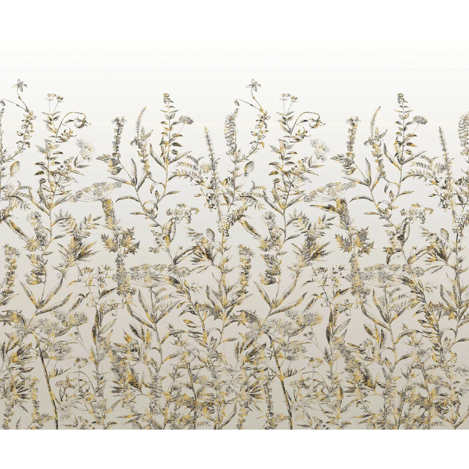 KOMAR Vlies Fototapete - Wall Roses - Größe 300 x 250 cm mehrfarbig günstig online kaufen