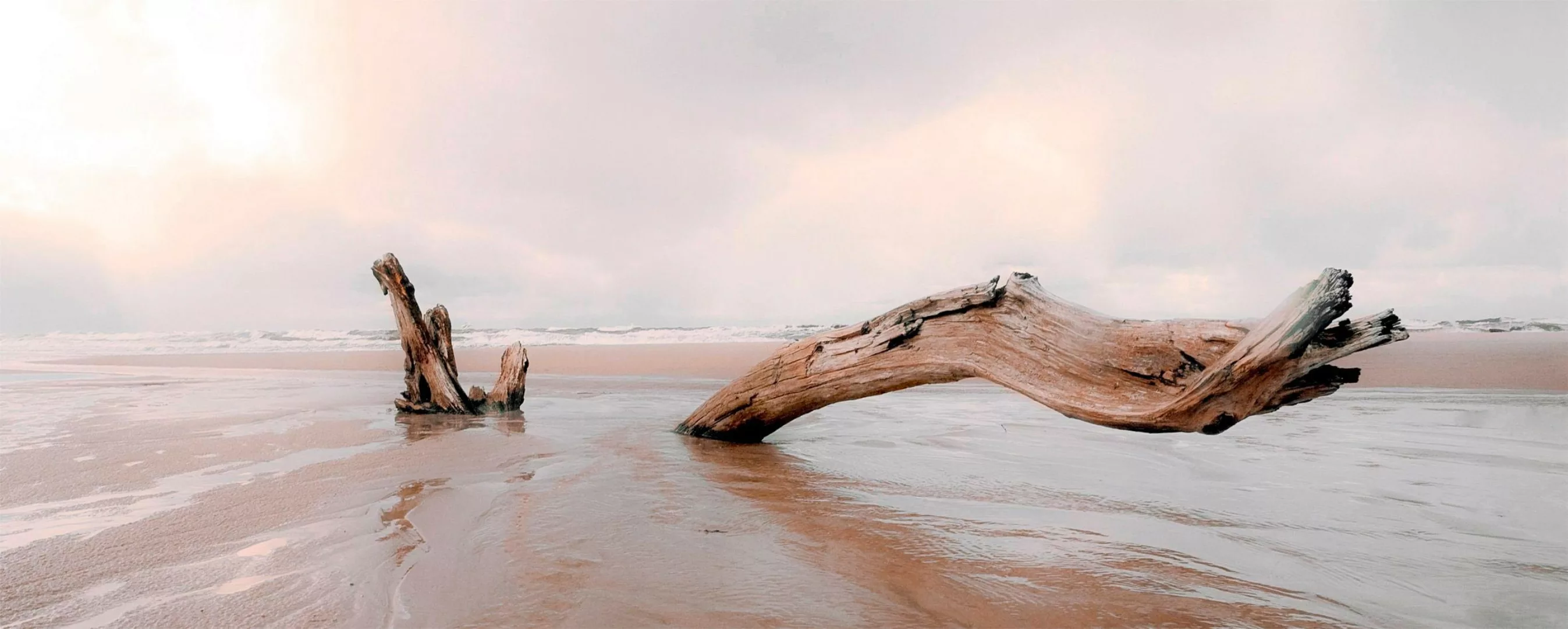 Art for the home Leinwandbild "Treibholz", Strand günstig online kaufen