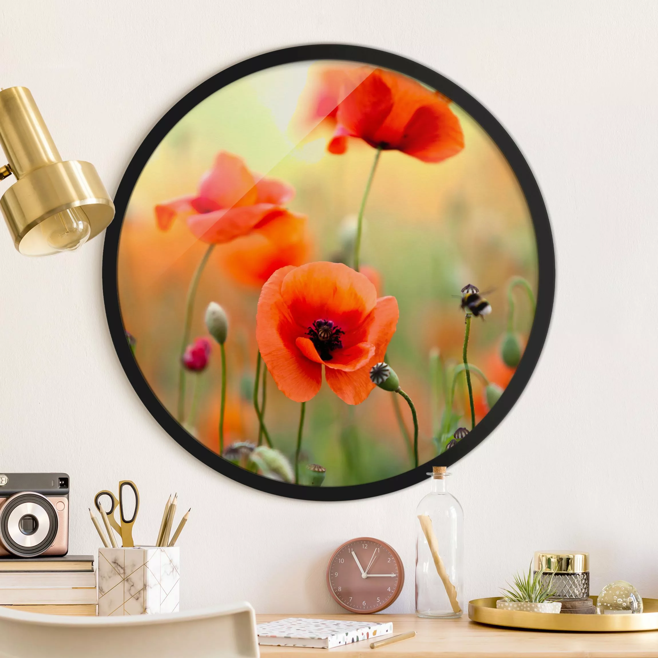 Rundes Gerahmtes Bild Roter Sommermohn günstig online kaufen