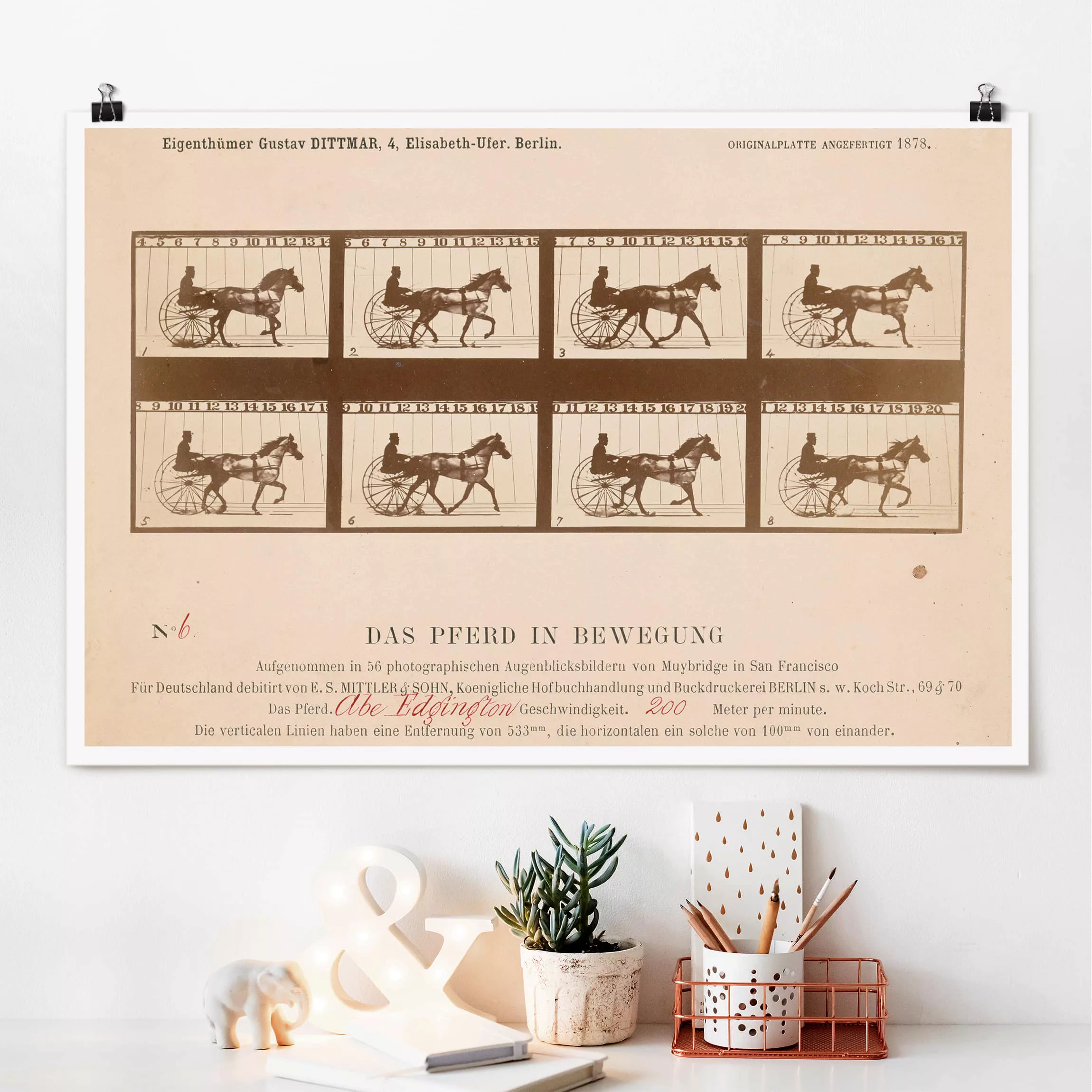 Poster Kunstdruck - Querformat Eadweard Muybridge - Das Pferd in Bewegung günstig online kaufen