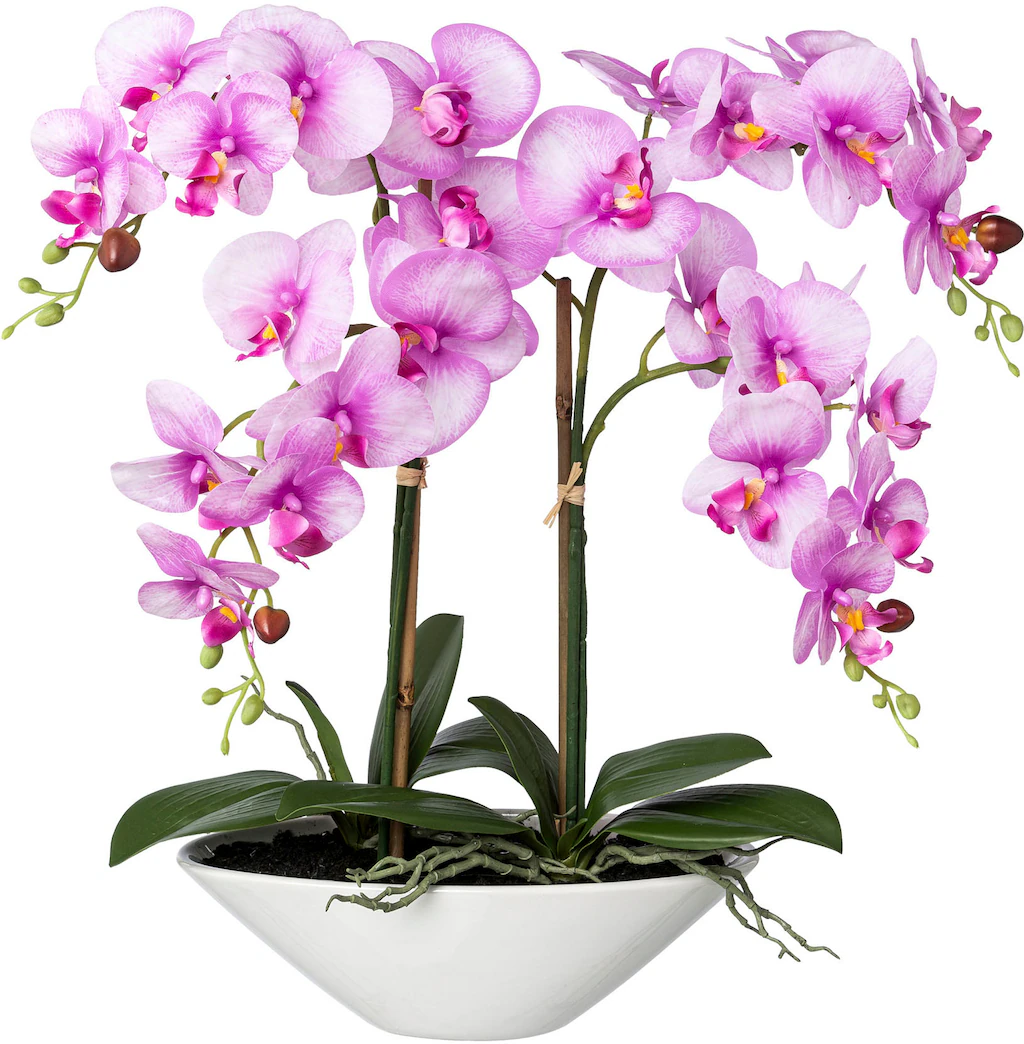 Creativ green Kunstorchidee "Deko-Orchidee Phalaenopsis in Keramikschale" günstig online kaufen