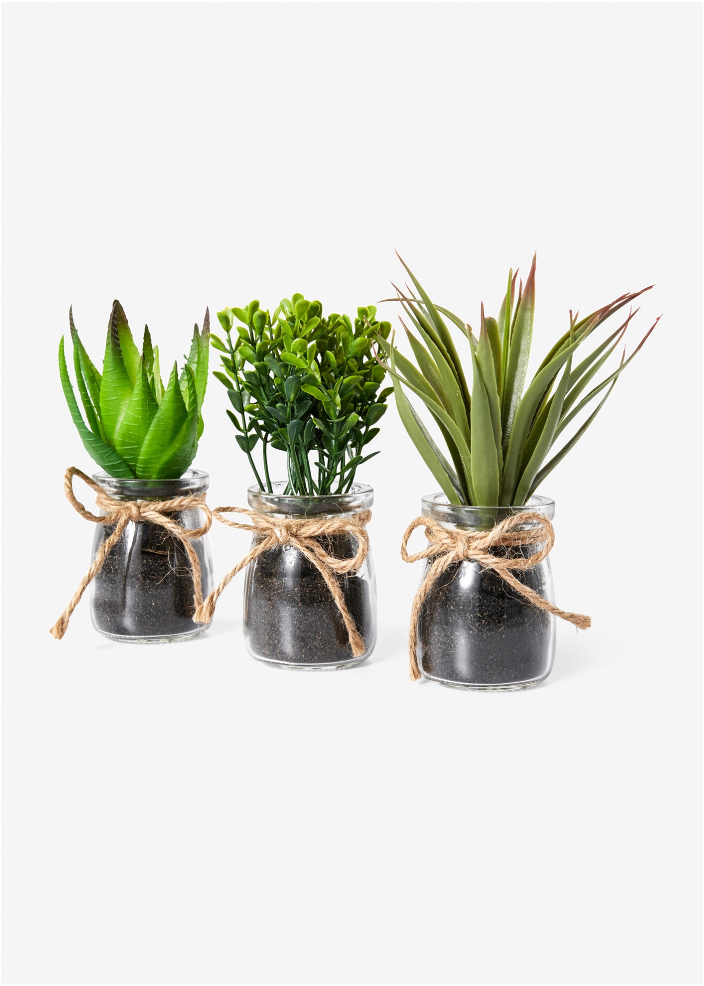 Kunstpflanze Sukkulenten im Glas, 3-tlg. Set günstig online kaufen