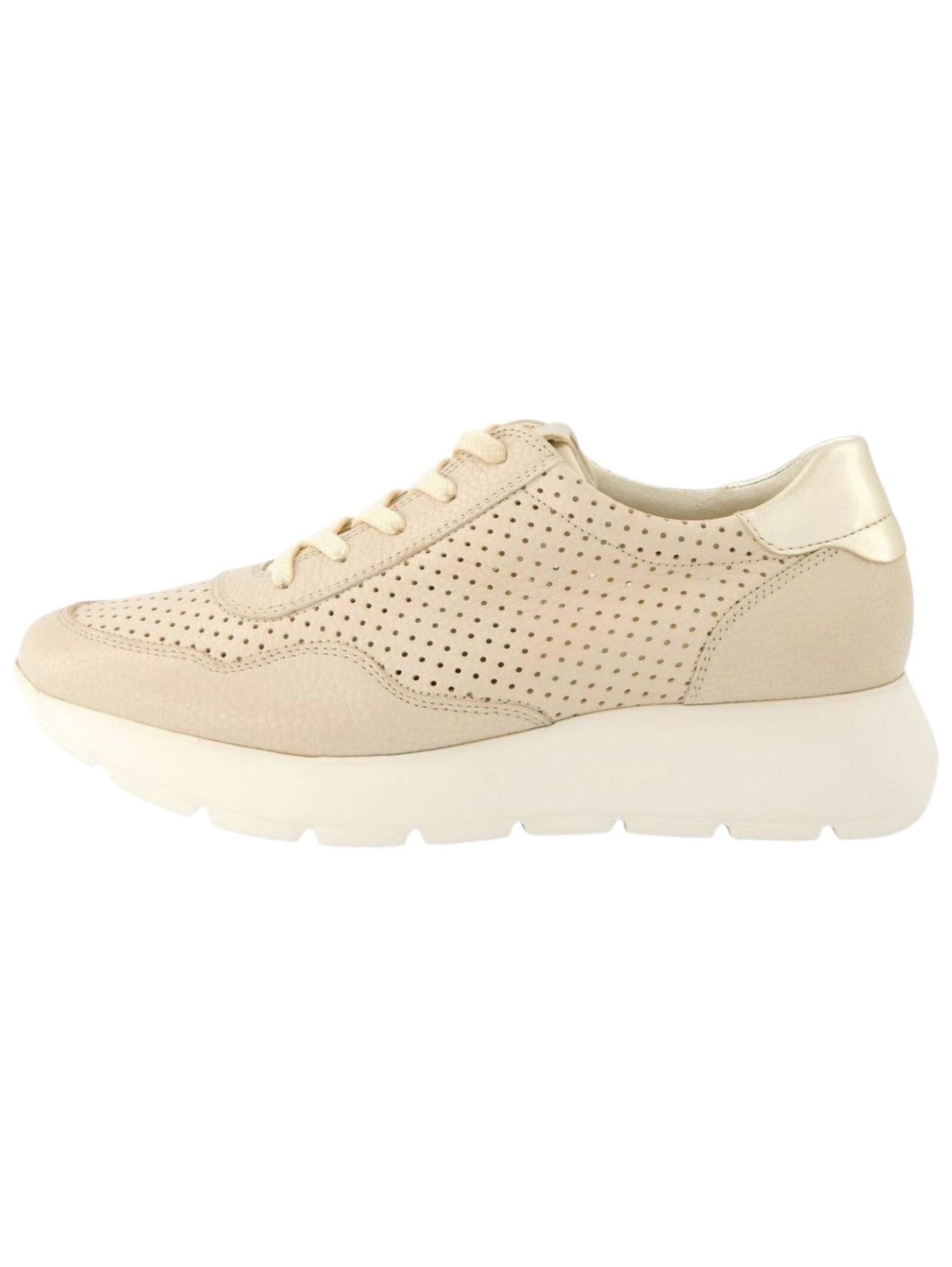 Paul Green Paul Green Sneaker Leder günstig online kaufen