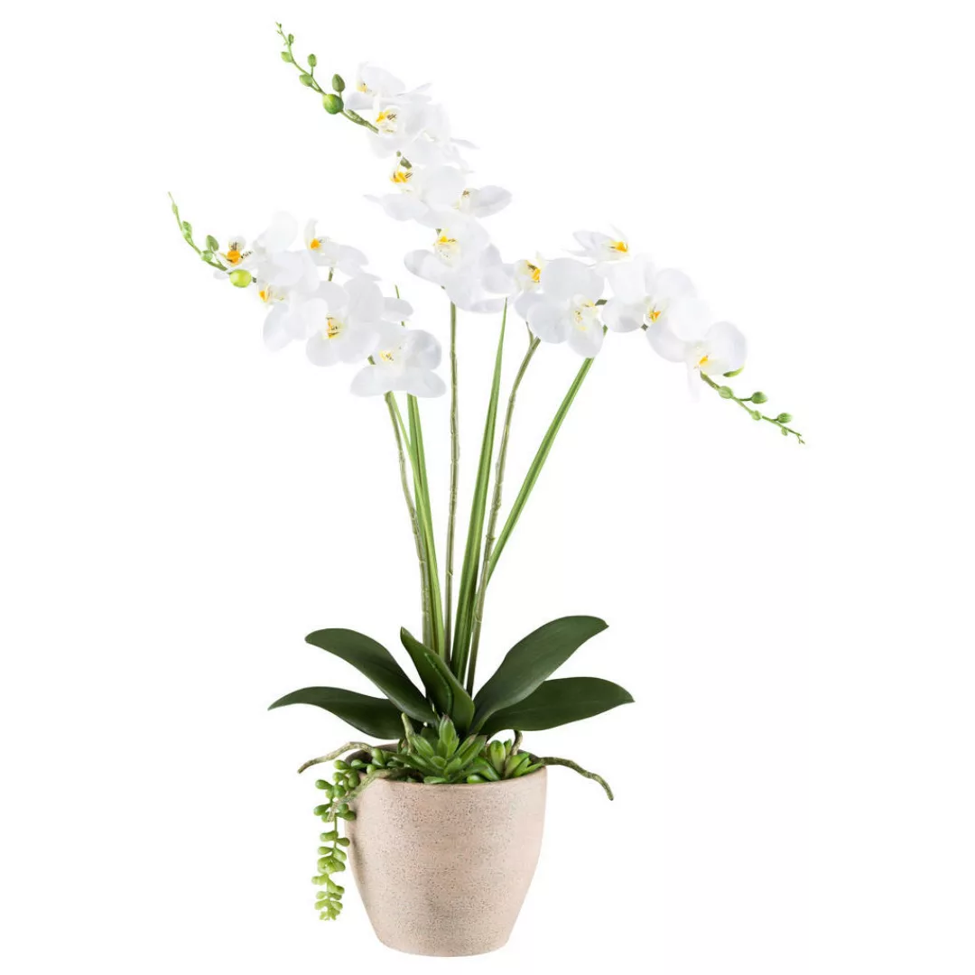 Kunstpflanze Phalaenopsis-Arrangement weiß Kunststoff B/H/L: ca. 17x55x17 c günstig online kaufen