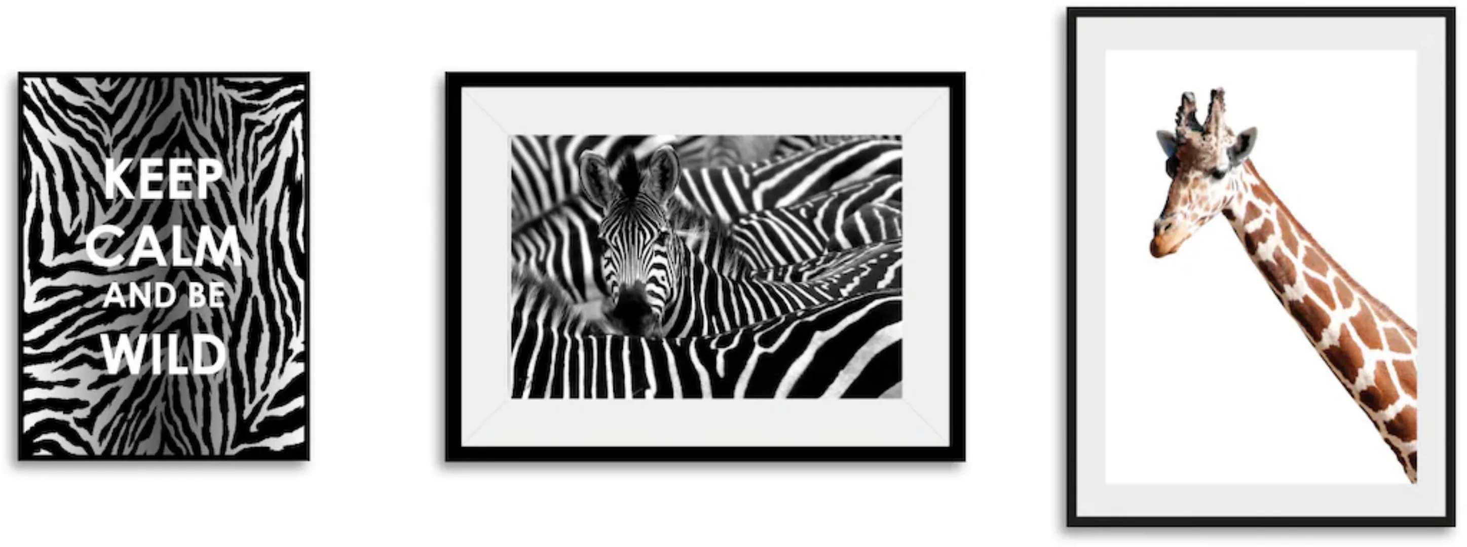 queence Bild "Animals", Abstrakt, (3 St.) günstig online kaufen