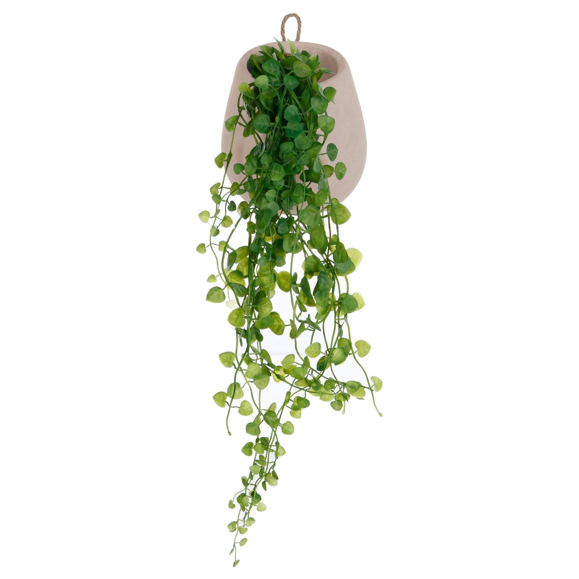 Kunstpflanze Zimmerpflanze, Atmosphera Créateur d'intérieur, Höhe günstig online kaufen
