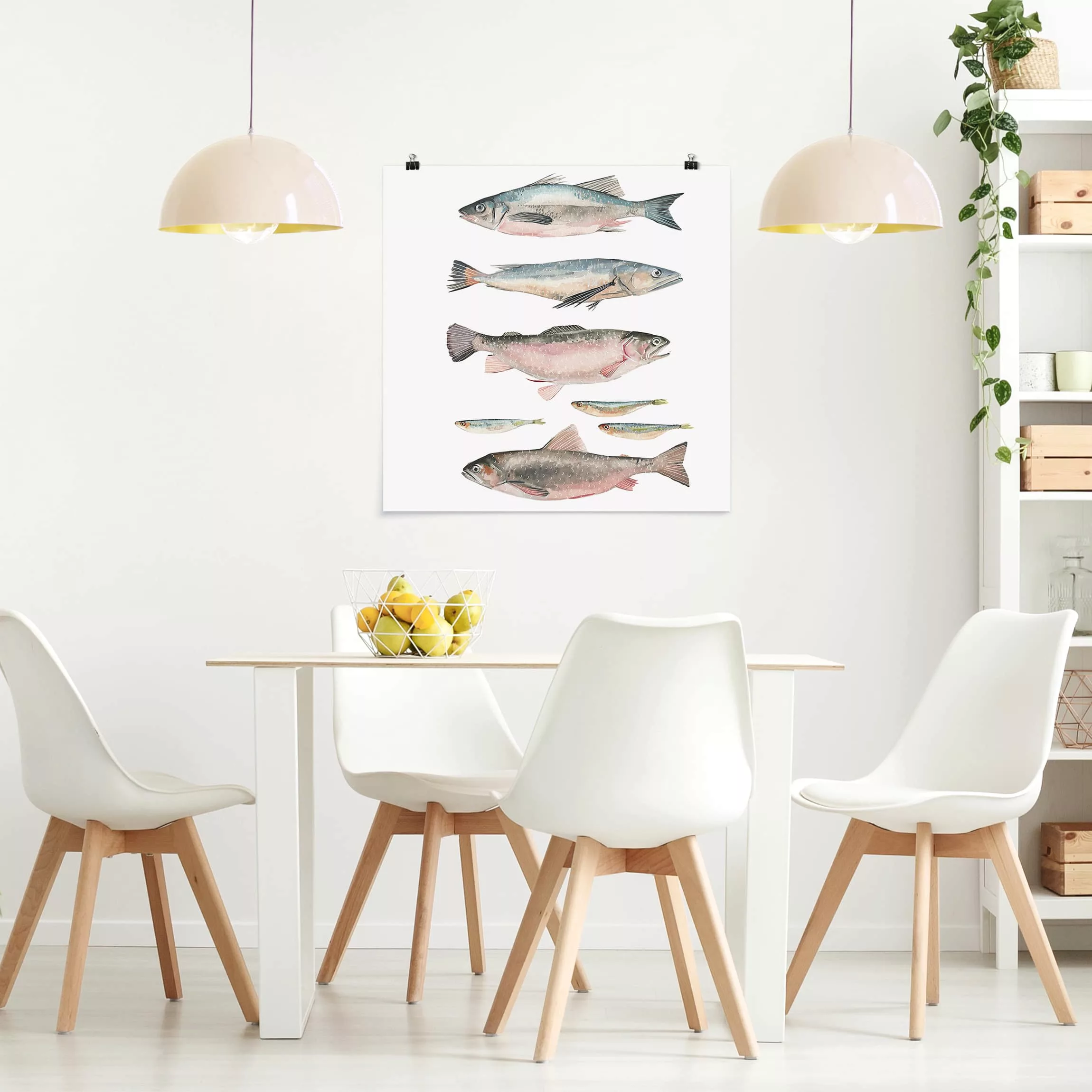 Poster Tiere - Quadrat Sieben Fische in Aquarell I günstig online kaufen