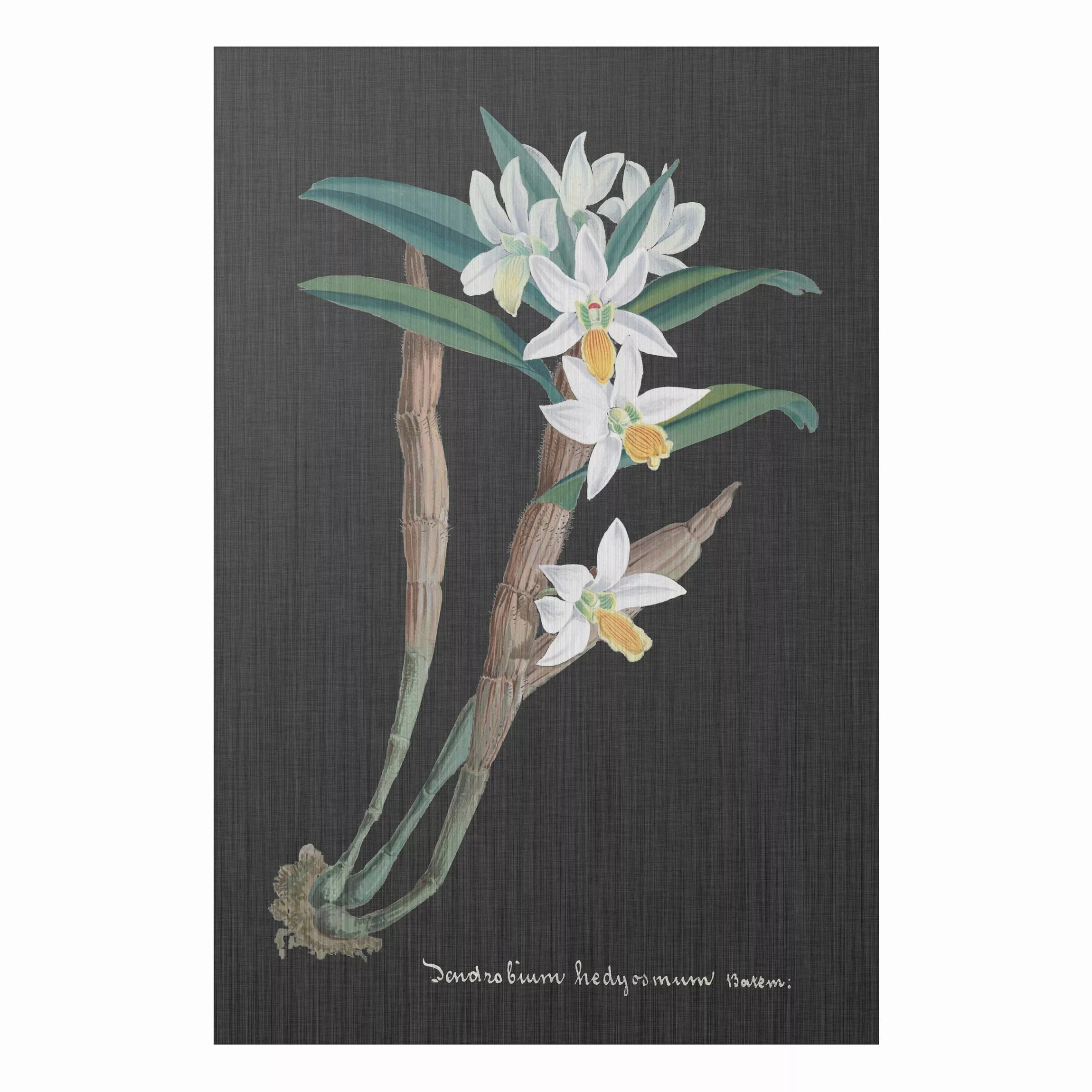 Alu-Dibond Bild Blumen - Hochformat 2:3 Weiße Orchidee auf Leinen I günstig online kaufen