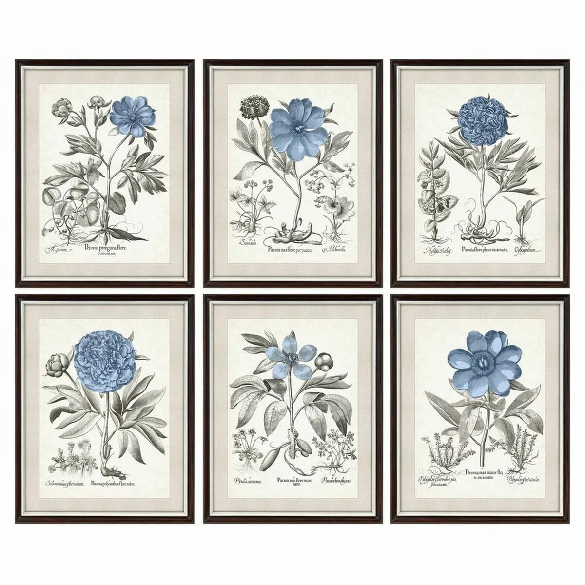 Bild Dkd Home Decor Blomster Moderne (6 Stück) (50 X 2 X 65 Cm) günstig online kaufen