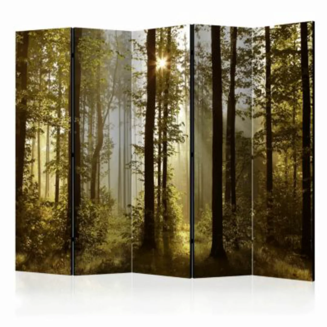 artgeist Paravent Forest: Morning Sunlight  II [Room Dividers] mehrfarbig G günstig online kaufen