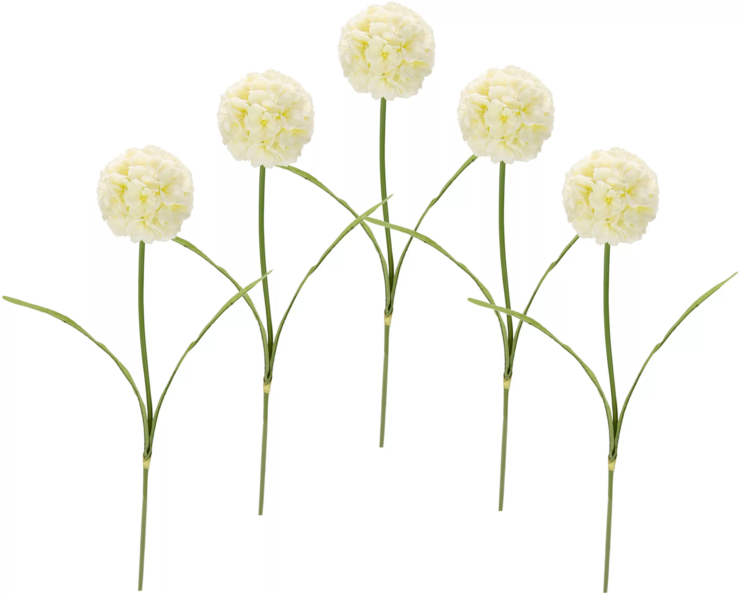 I.GE.A. Kunstblume "Allium", 5er Set günstig online kaufen