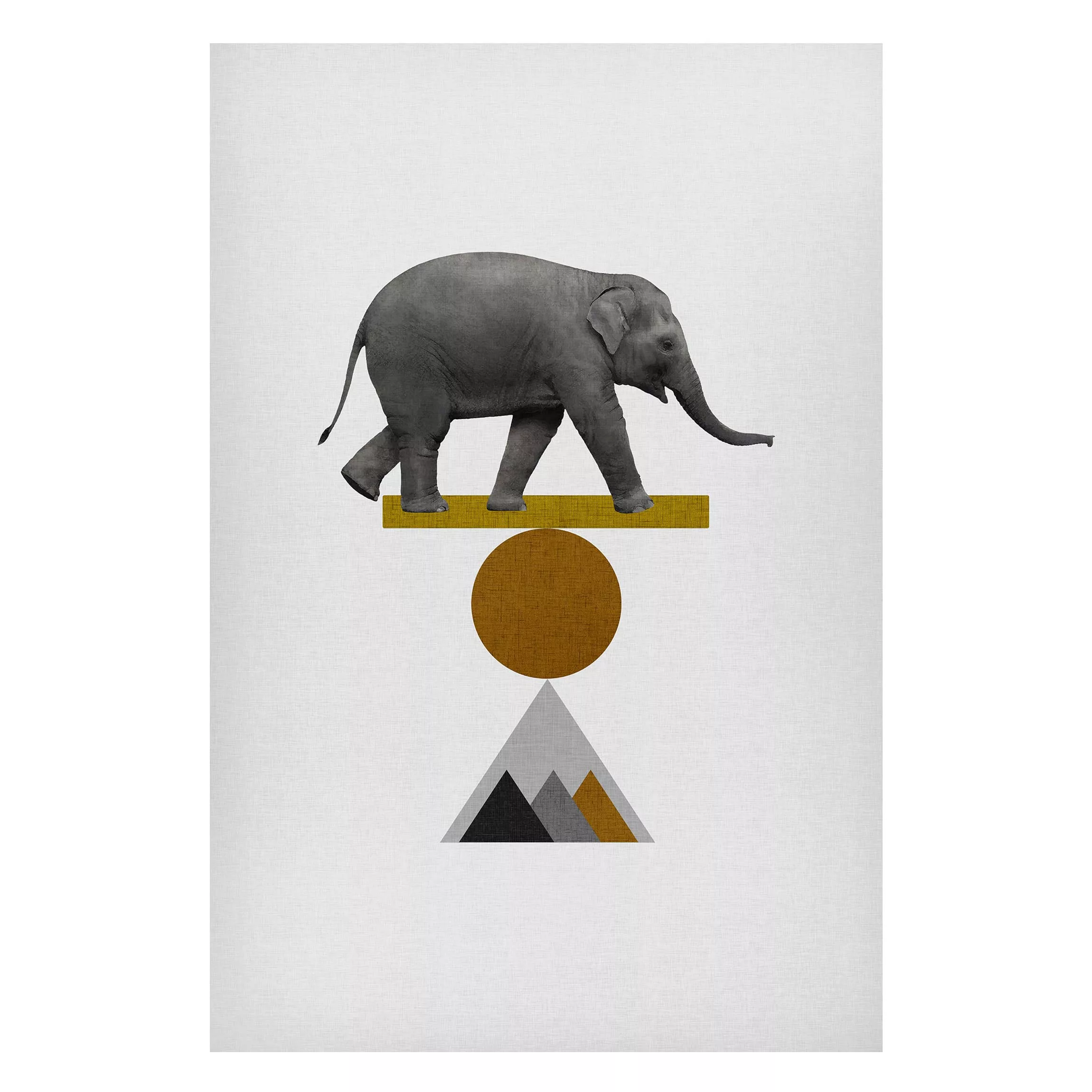 Magnettafel Balancekunst Elefant günstig online kaufen