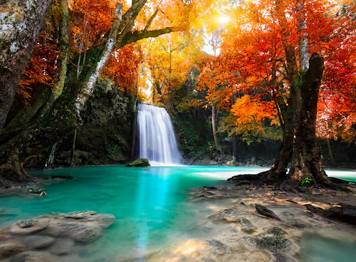 Papermoon Fototapete »Deep Forest Waterfall« günstig online kaufen